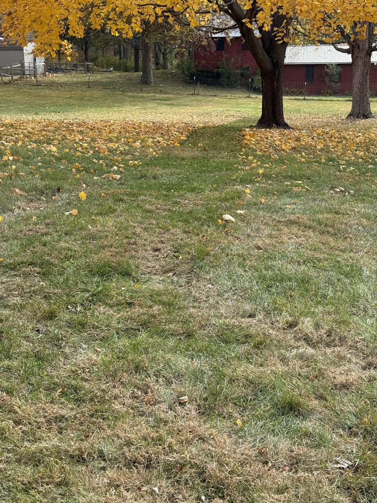 Agri-Fab 45-0630 Large Capacity 29 CU FT Soft Top Mow-N-Vac, Tow Behind Lawn Vacuum, Leaf Vacuum, Gas Powered, Easy Single Lever Dumping customer photo 2