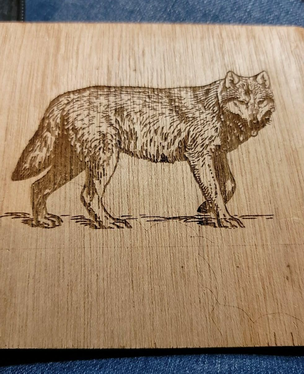 ATOMSTACK 20W Laser Engraver, A20 PRO V2 Laser Cutter, High Accuracy Laser Engraving Machine customer photo 1