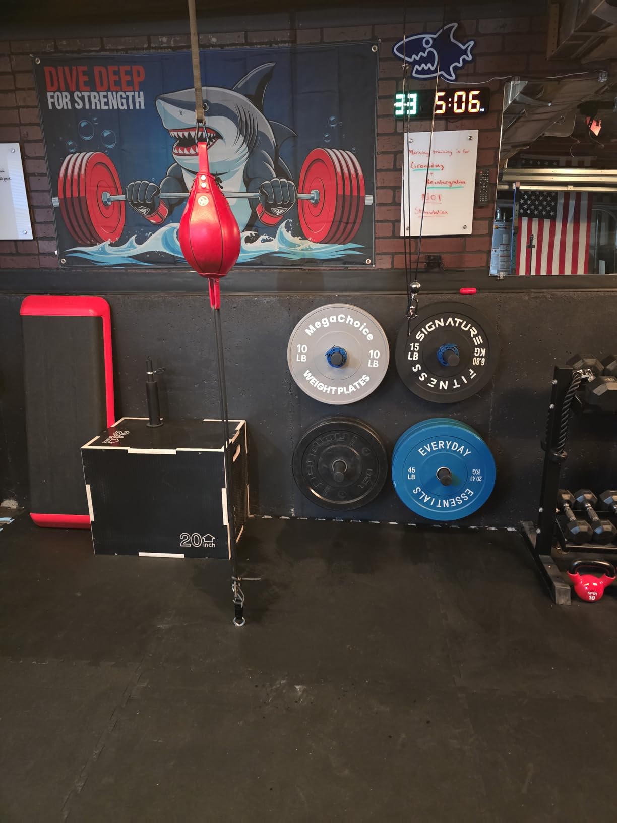 Wall-Mounted Strength Training Plate Storage Rack - Heavy Duty 2