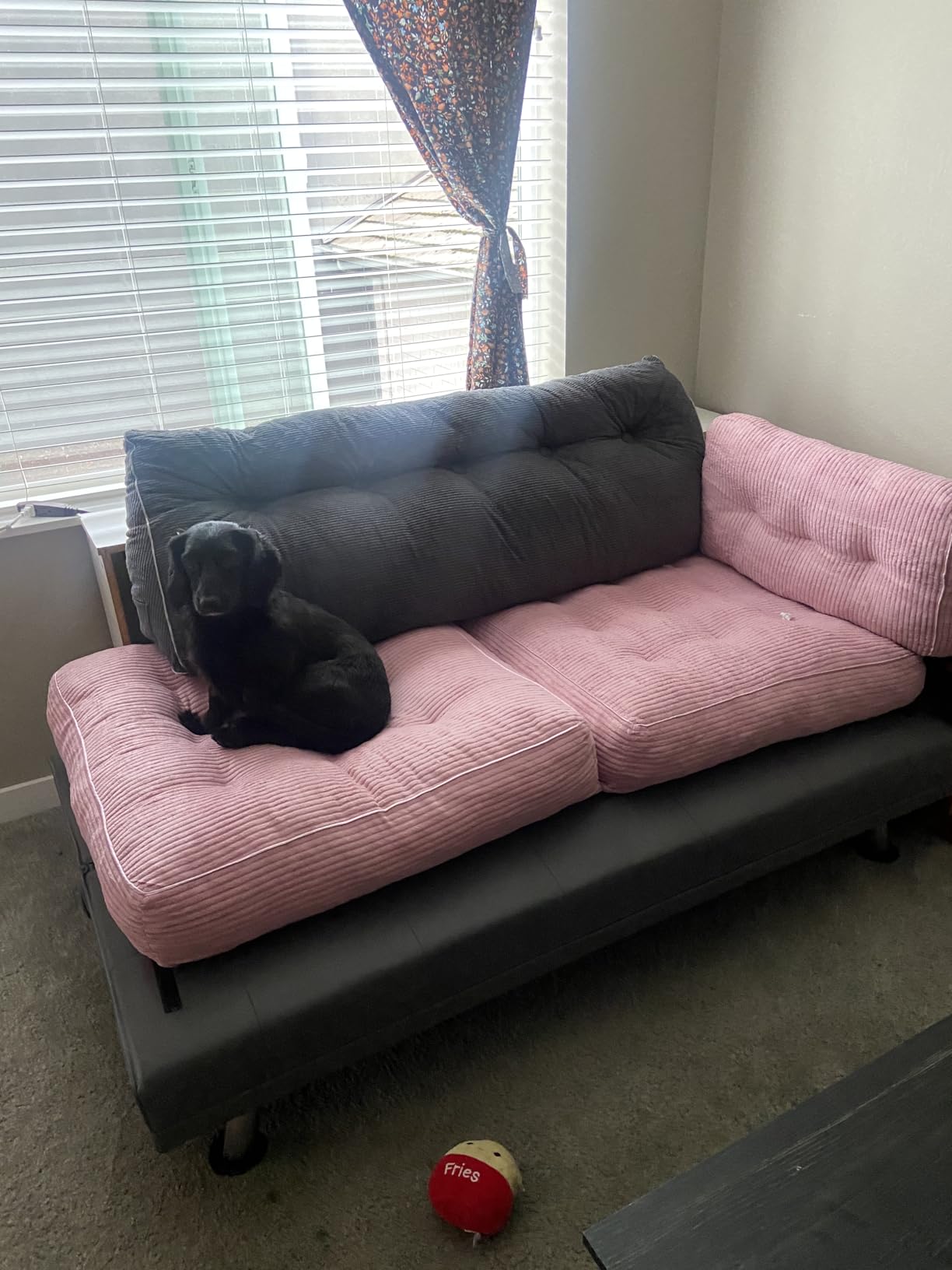 Folding Chair Bed, Futon Sofa Bed, Floor Couch for Adults Chair for Living Room, Lounge Sofa, Convertible Sofa Bed, Small Couches for Small Spaces, Blue customer photo 1