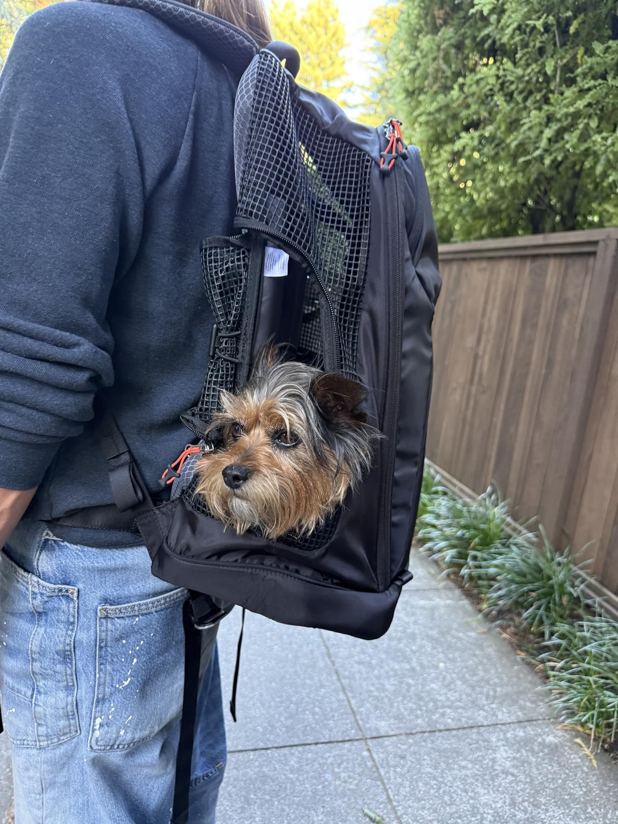 DJANGO Dog Carrier Backpack - Pet Backpack for Small Dogs & Cats with Hip Belt, Laptop Pocket & Water Bottle Sleeve - Travel Dog & Cat Carrier for Hiking, Camping & Commuting (Midnight Black) customer photo 2