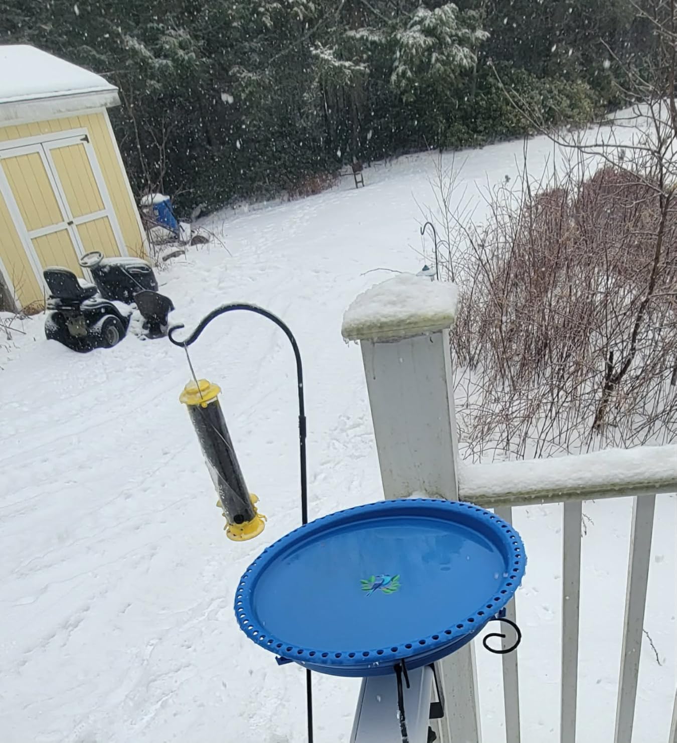 Lovppy Heated Bird Baths for Outdoors for Winter, 100W Heated Bird Bath Water Heater with Thermostatically Controlled, Heated Bird Bath for Deck Railing Outside Garden Patio Yard (Blue) customer photo 2