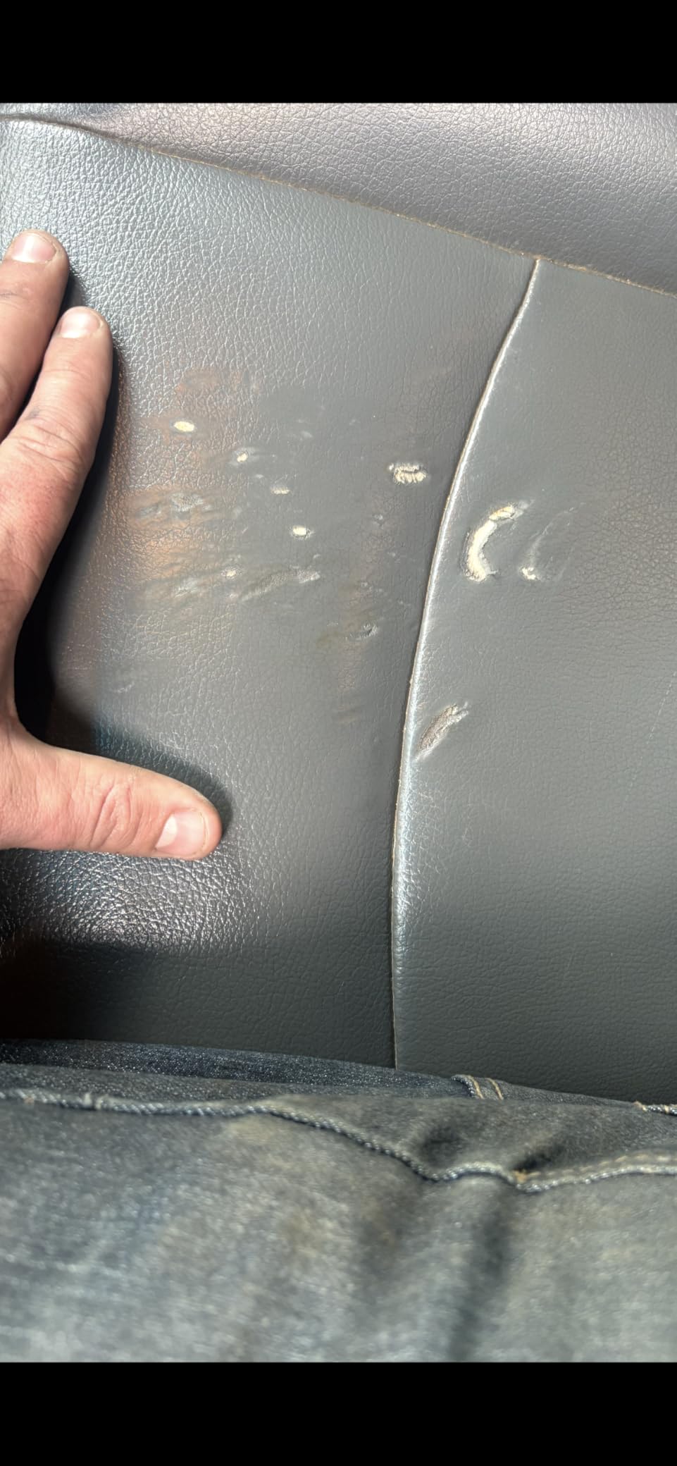 Heated Seat Covers Back Seat Cushion with Heat for Winter customer photo 2