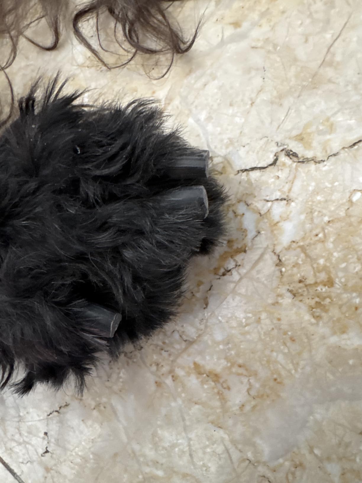 Dremel PawControl 7760-PET Dog Nail Grinder and Trimmer - Cordless & Rechargeable Pet Grooming Tool Kit - Safe for Dogs, Cats, and Small Animals (Amazon Exclusive) customer photo 2