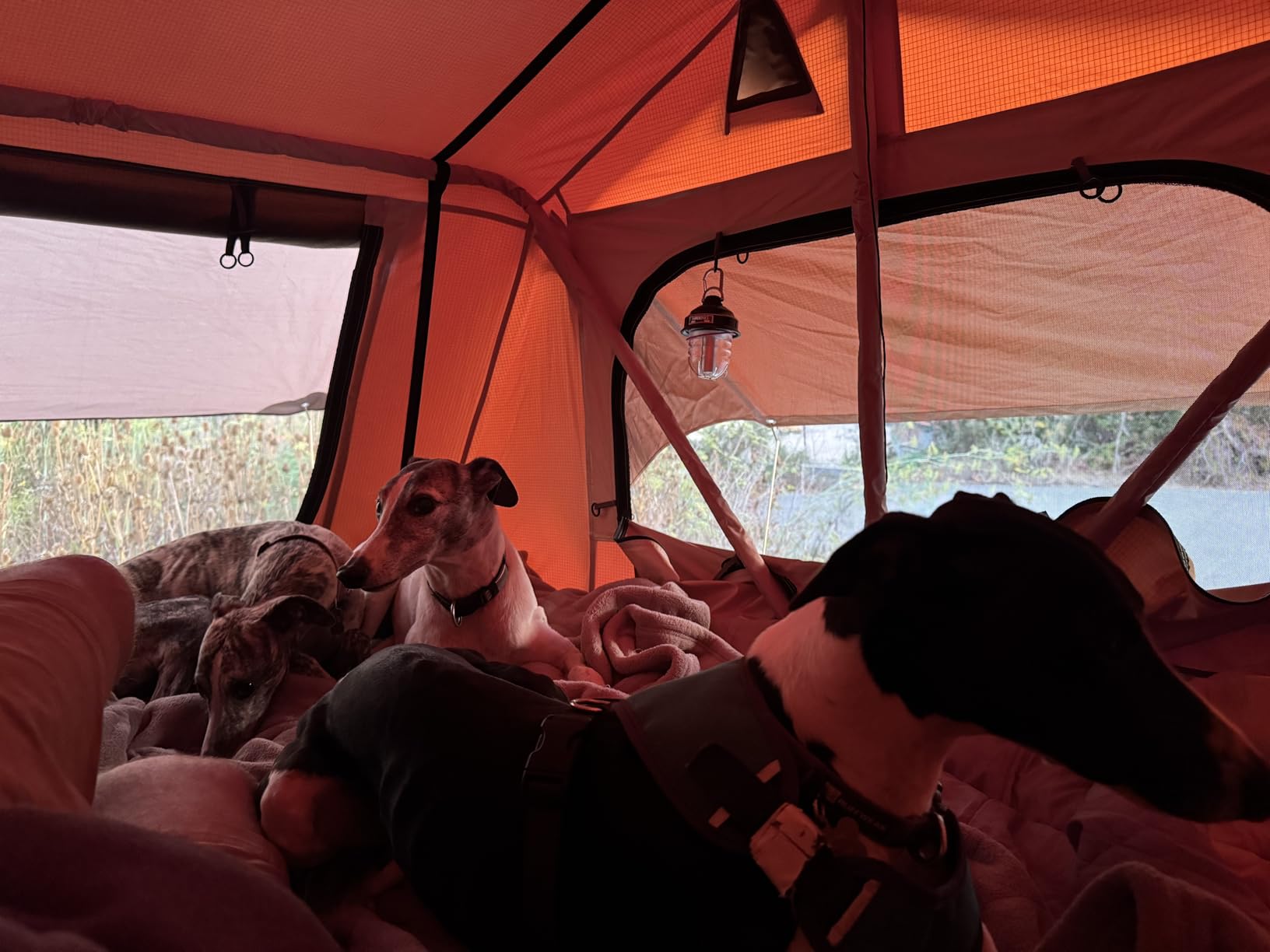 VEVOR Rooftop Tent Hard Shell, 2-3 Person Aluminum Roof Top Tent Hardshell with Tri-Color LED Light, Thick Mattress & 1 Window, Waterproof Windproof Overland Camping Car Roof Rack for Jeep SUV Pickup customer photo 2