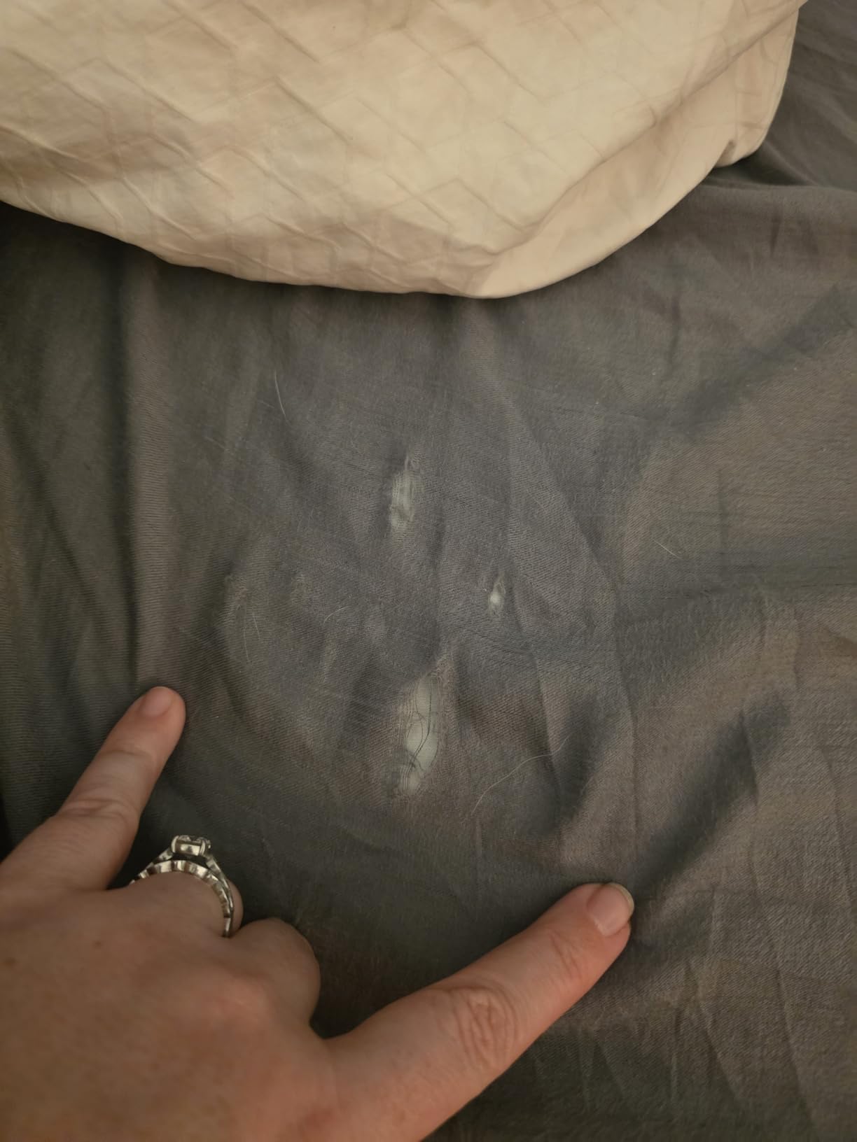 Cariloha Aloha Soft 4-Piece Sheet Set | Natural | Queen | Made from 100% Viscose derived from Bamboo | Introductory Sheet Line customer photo 1