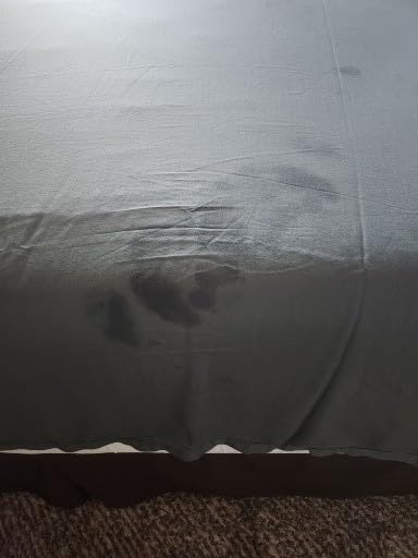 Cariloha Aloha Soft 4-Piece Sheet Set | Natural | Queen | Made from 100% Viscose derived from Bamboo | Introductory Sheet Line customer photo 2