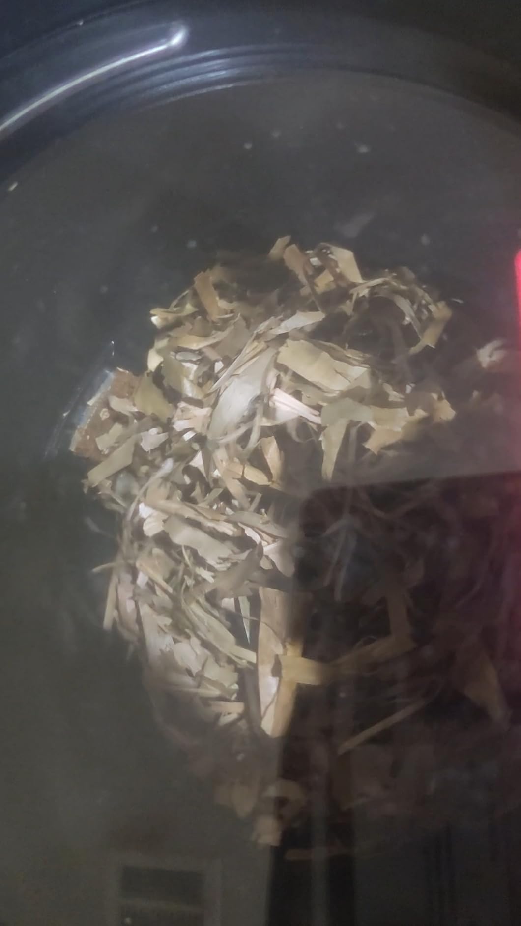 4L Electric Composter for Kitchen, Smart Countertop Compost Bin, Odorless | Low Noise | Auto-Cleaning | Turn Food Waste into Fertilizer, Indoor Food Waste Compost Machine, White customer photo 1