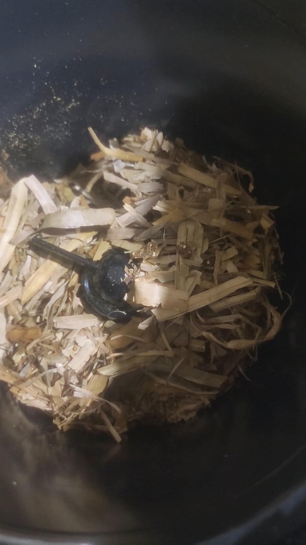 4L Electric Composter for Kitchen, Smart Countertop Compost Bin, Odorless | Low Noise | Auto-Cleaning | Turn Food Waste into Fertilizer, Indoor Food Waste Compost Machine, White customer photo 2