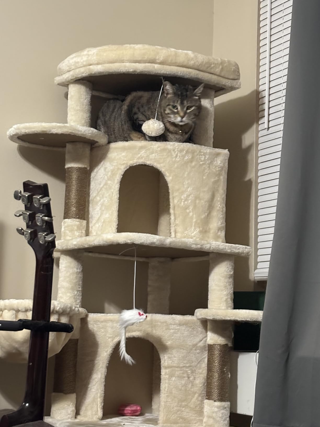 Globlazer Corner Cat Tree, 51in Curved Series Modern Cat Tower for Indoor Cats with Hammock, 7 Sisal Scratching Posts, Large Fan-Shaped Platform for Large Cats, Cat Condo & Hanging Basket, C51, Beige customer photo 2