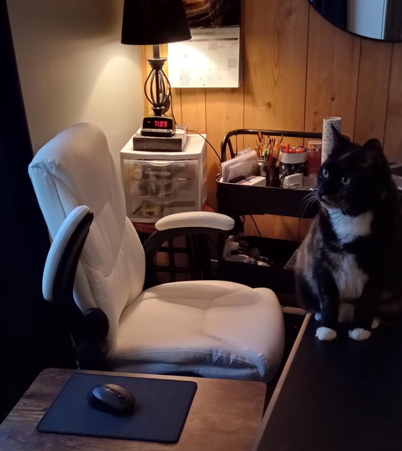 FelixKing Leather Office Chair, Small PU Ergonomic Desk Chair, Comfy Computer Chair with Wheels and Flip-up Armrests, Adjustable Height Mid Back Executive Office Chair for Short People customer photo 1