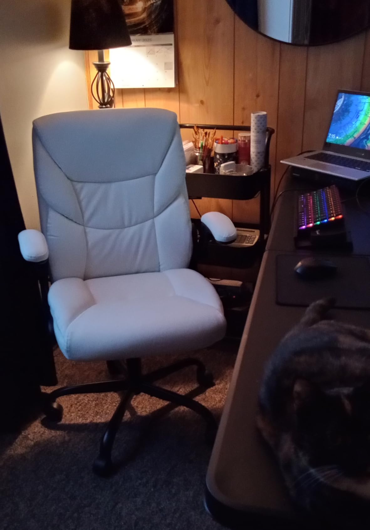 FelixKing Leather Office Chair, Small PU Ergonomic Desk Chair, Comfy Computer Chair with Wheels and Flip-up Armrests, Adjustable Height Mid Back Executive Office Chair for Short People customer photo 2