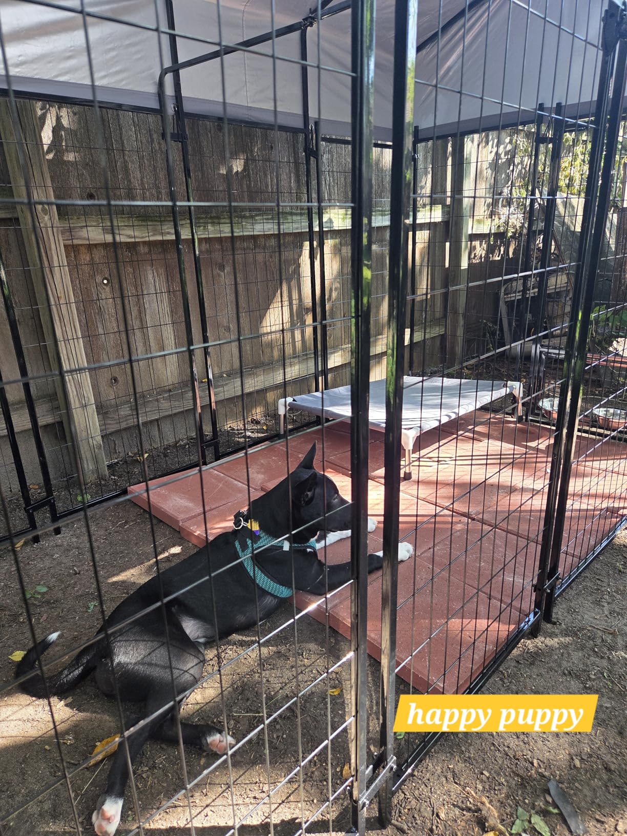 Oranland 8x4x6FT Outdoor Dog Kennel, Heavy Duty Welded Wire Steel Dog kennels with Secure Lock for Outside, Dog Pen with Waterproof Roof Cover and 2 Rotating Dog Bowls customer photo 2