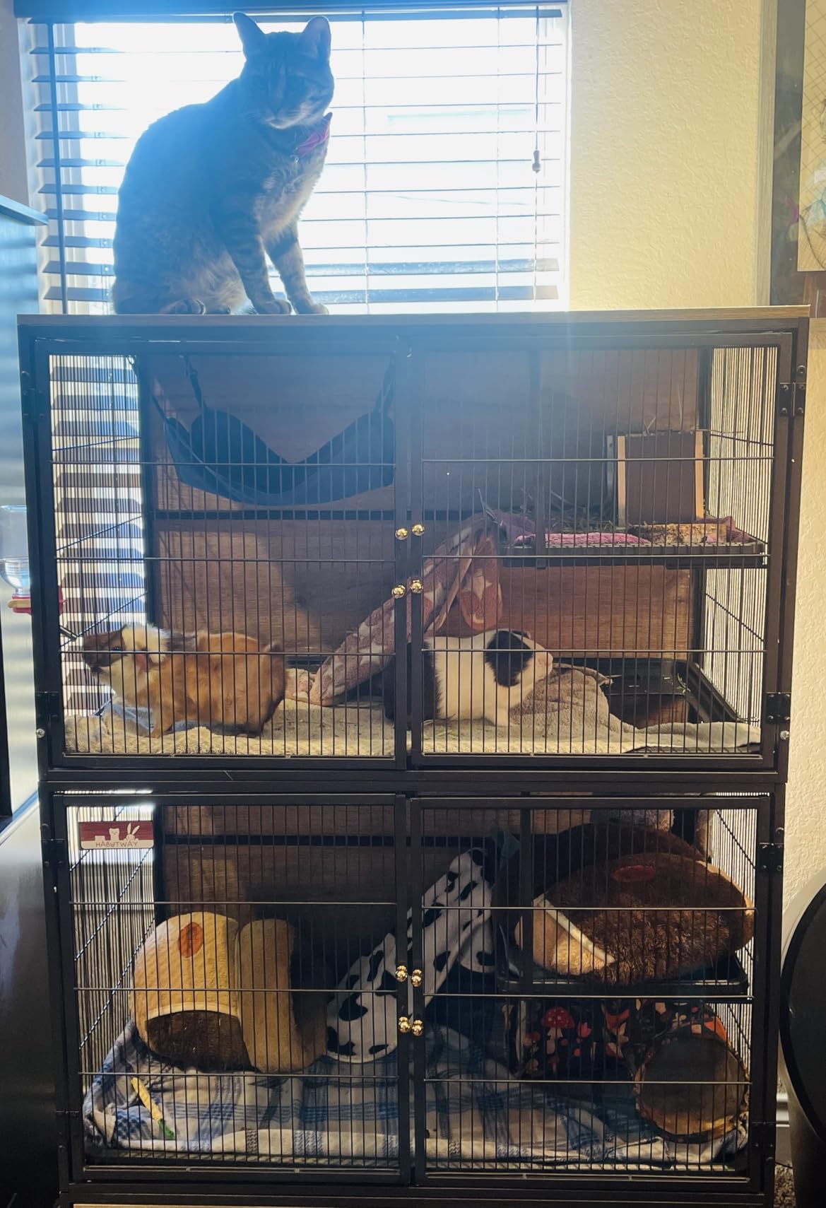 Metal Large Guinea Pig Cages 5 Levels, 50.0