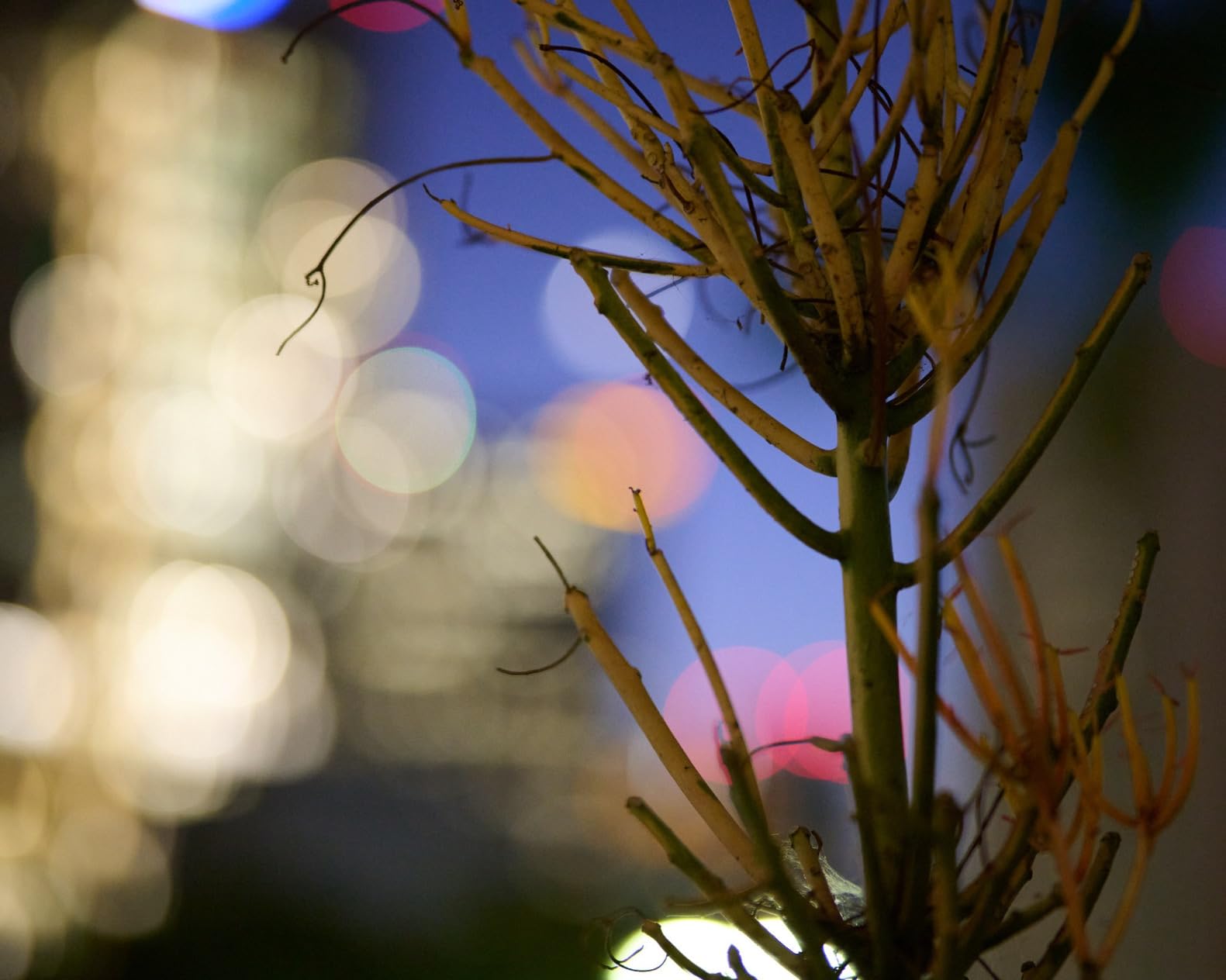 SIRUI Aurora 85mm F1.4 Full Frame Auto Focus Lens for Sony E Mount customer photo 2