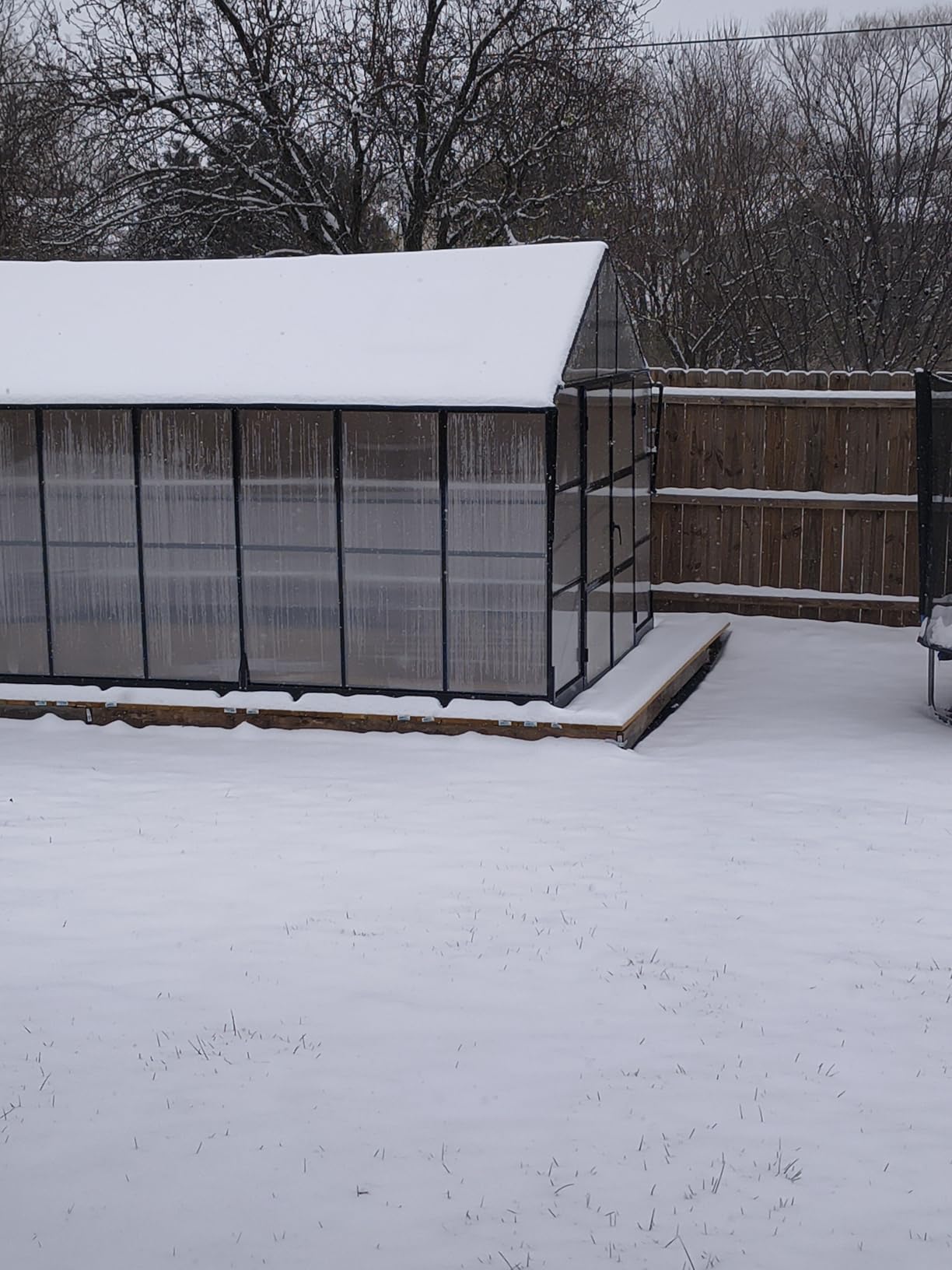 AMERLIFE 10x18x8.4 FT Polycarbonate Greenhouse with 4 Roof Vents & Rain Gutter, Heavy Duty Aluminum Greenhouse for Outdoor Garden Backyard, Black customer photo 1