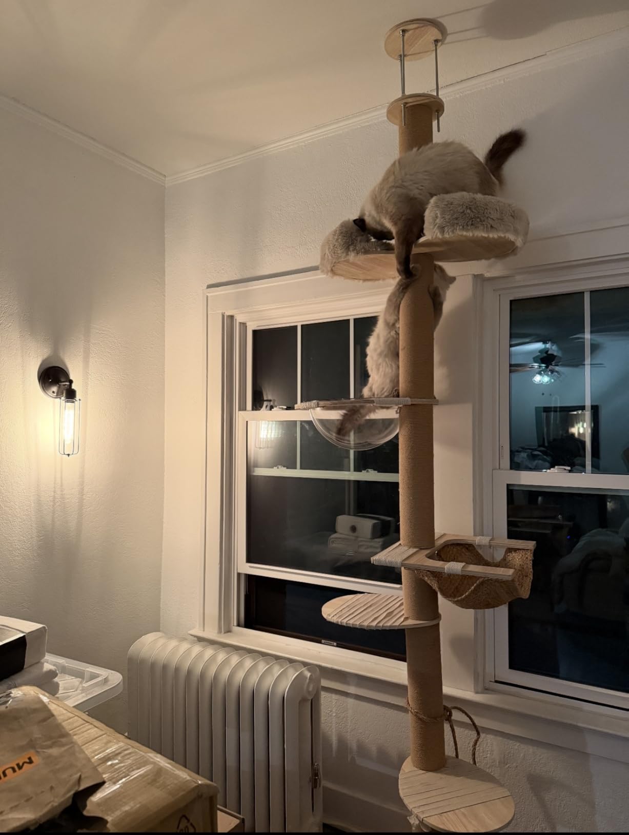 Sturdy Floor-to-Ceiling Cat Tree | Solid Real Wood 55-122'' Height Adjustable Drill-Free Tower | Ideal for Multi-Cat Households & Large Breeds with Extra-Thick 4.3