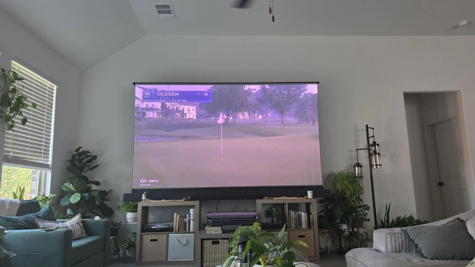 NothingProjector Motorized ALR Screen for Ultra Short Throw Projector, 95% Ambient Light Rejecting, 120 inch, Floor Rising, 4K/8K UHD, Active 3D, Anti Daylight, Electric Retractable Automatic NothPJ customer photo 1