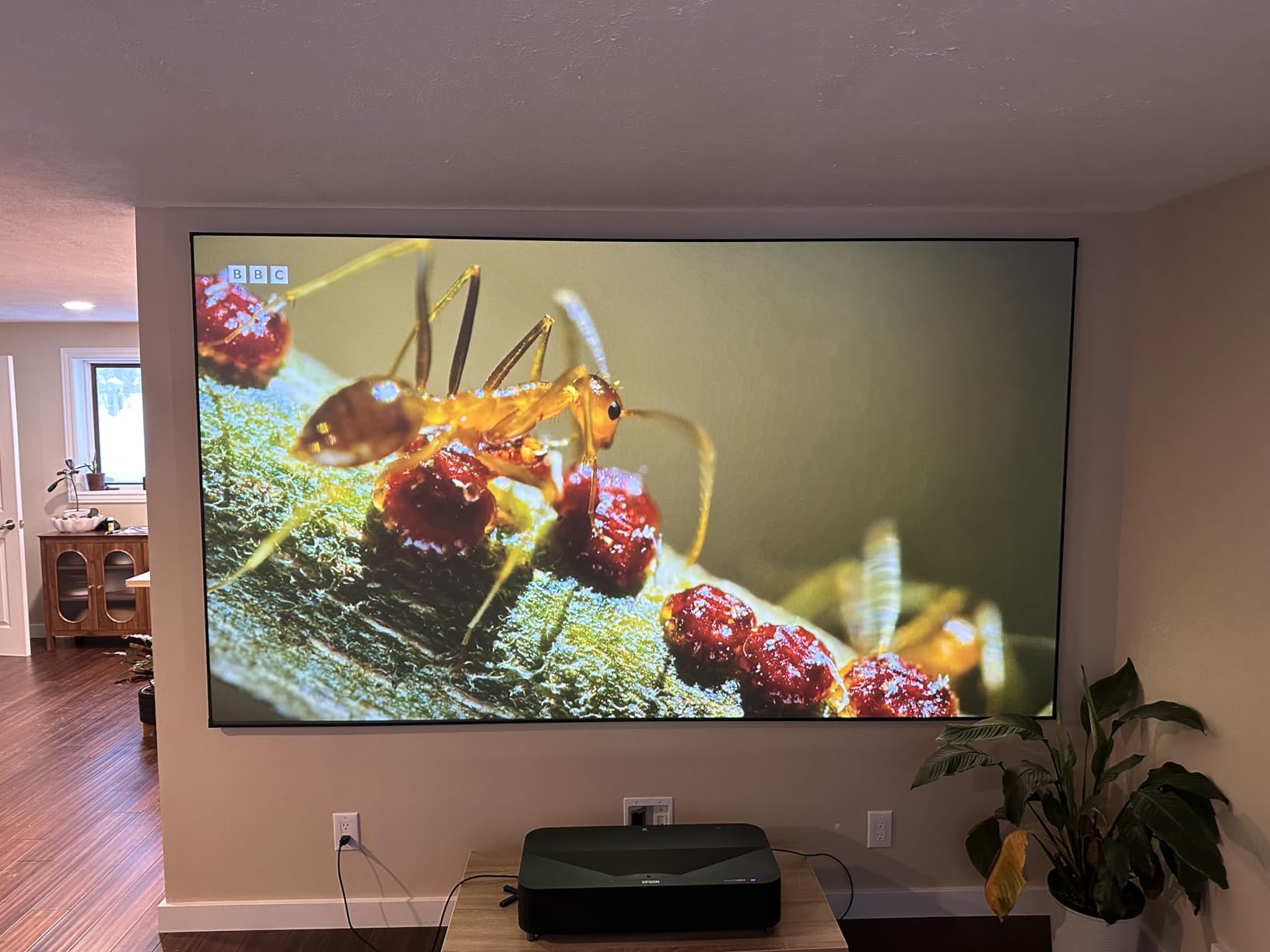 NothingProjector ALR Screen for Ultra Short Throw Projector, 95% Ambient Ceiling Light Rejecting, 120 inch, 4K/8K UHD, Active 3D, Fixed Frame 16:9, Wall Mount Anti Daylight UST, Black Series NothPJ customer photo 1