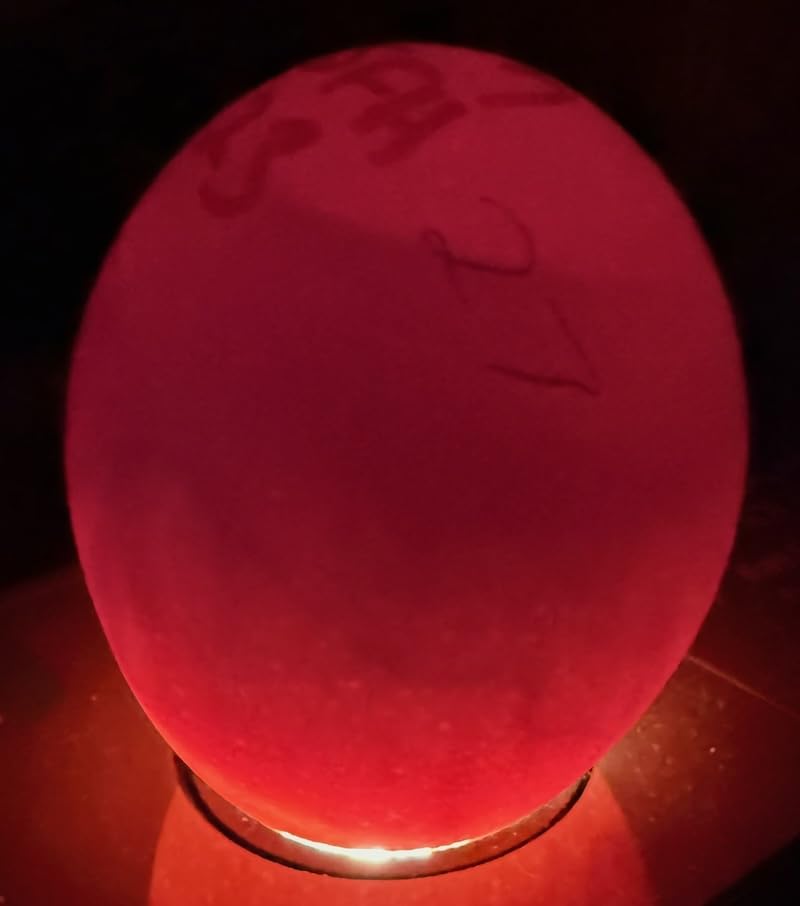 MATICOOPX 20 Egg Incubator with Humidity Display, Egg Candler, Automatic Egg Turner, for Hatching Chickens customer photo 1