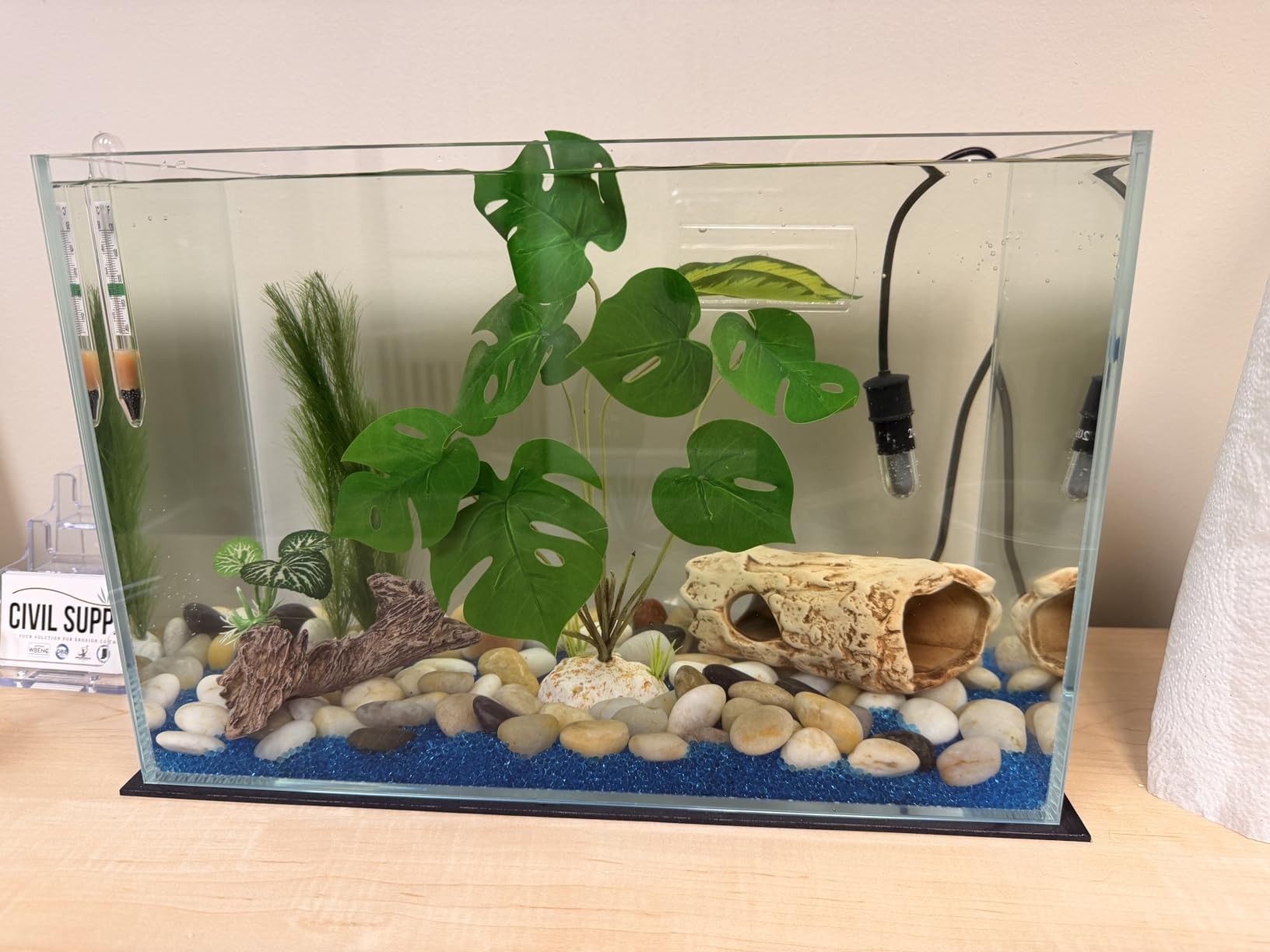 3 Gallon Glass Fish Tank, Easy to Maintain Small Aquarium for Betta/Goldfish/Snails/Shrimp and Aquatic Planting customer photo 1