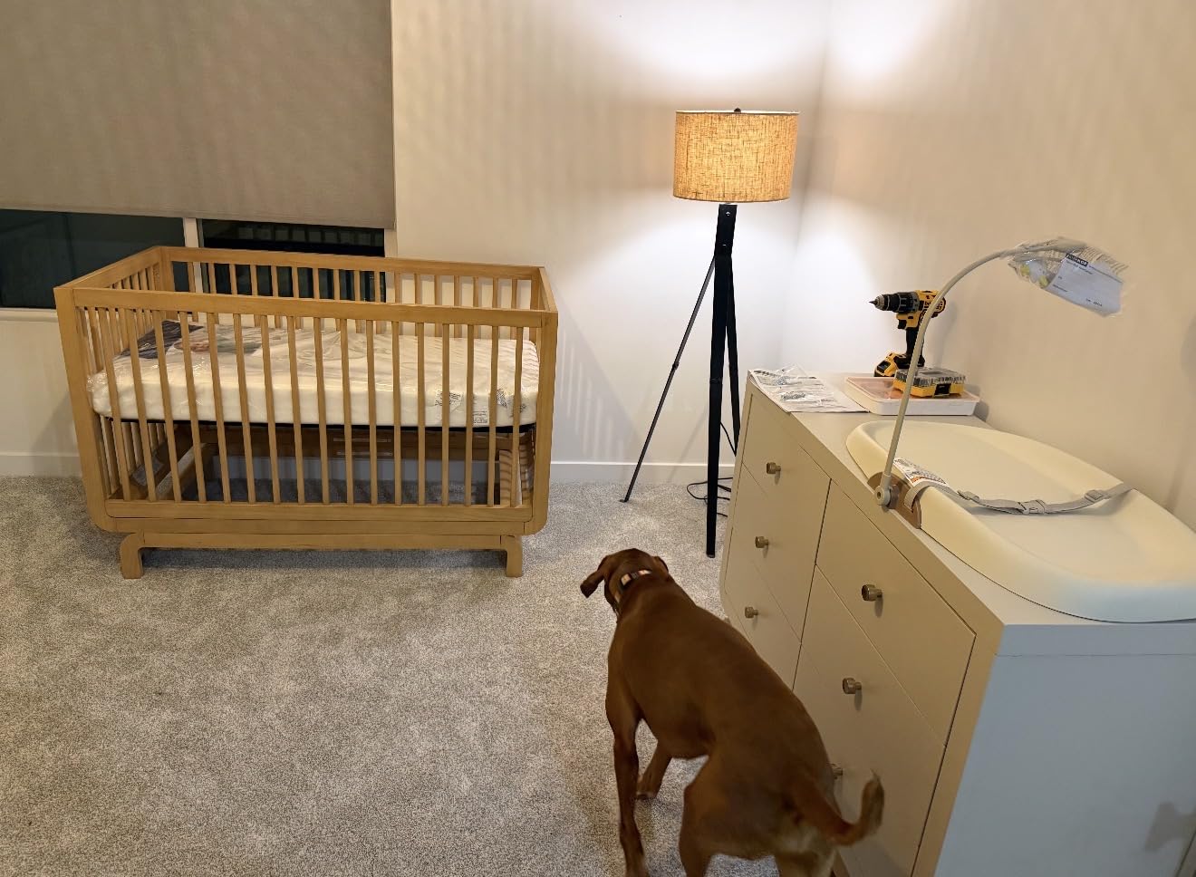 Storkcraft Santorini Convertible Crib with Toddler Guardrail (Sage & Driftwood) - GREENGUARD Gold Certified, Toddler Bed Conversion Kit Included, 100% Solid Wood, Fits Standard Crib Mattress customer photo 1