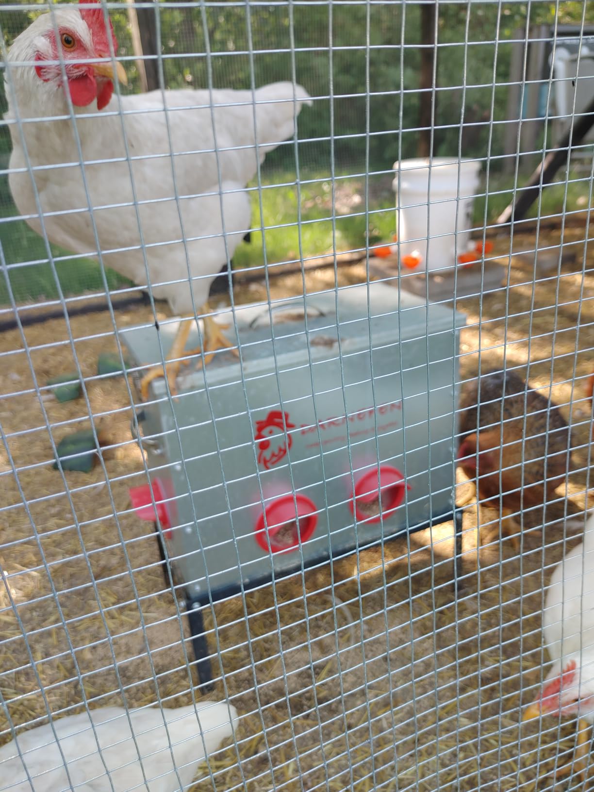 Automatic Chicken Feeder Rat Proof - 40lb 6 Ports Large Capacity Metal Poultry Feeder with Legs and Lids - Galvanized Chicken Feeder for Hen Coop customer photo 2