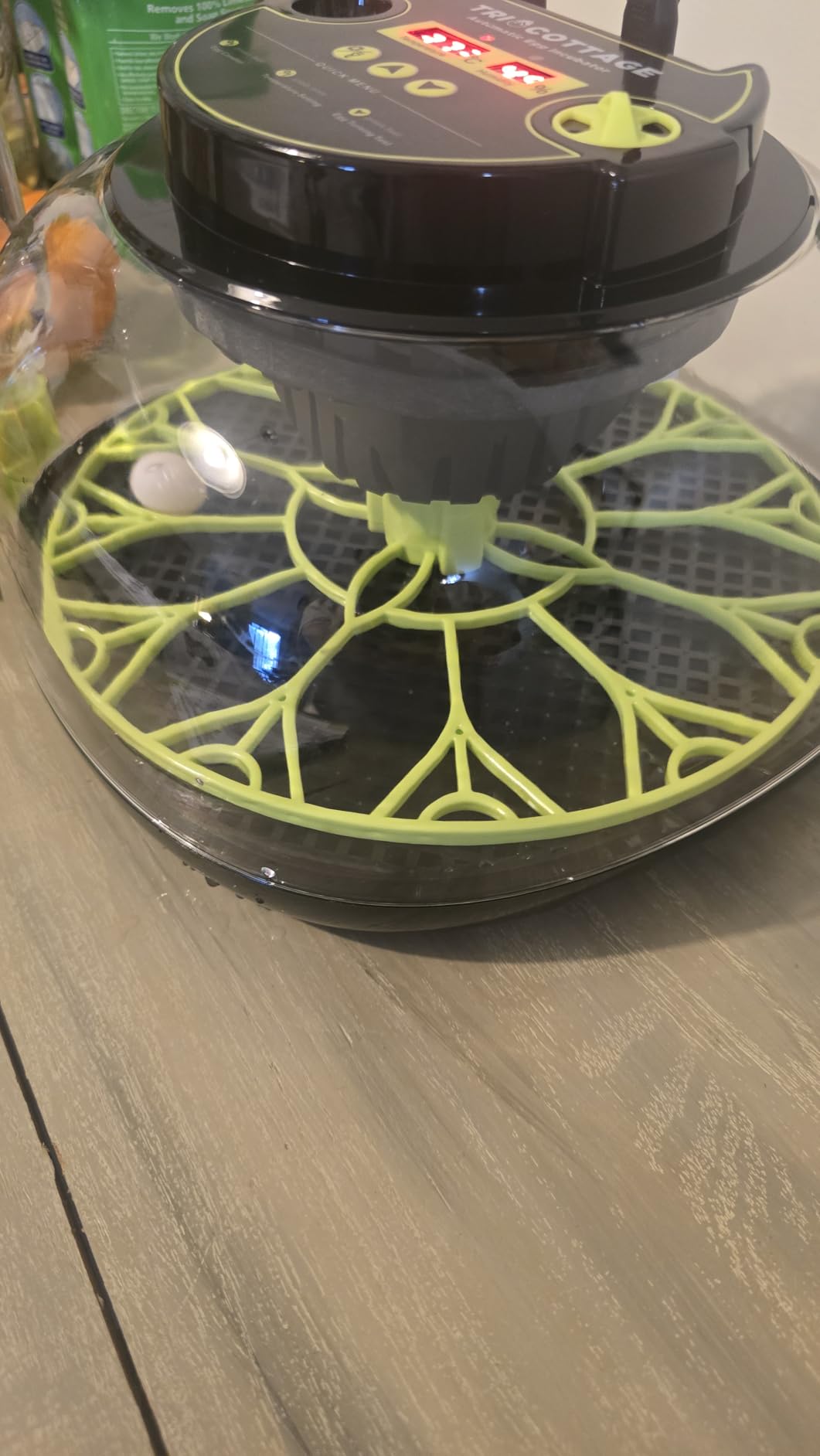 M12H Incubators for Hatching Eggs 12 Egg Incubator with Automatic Egg Turning and Humidity Control, Egg Candler, Auto Water Replenishment customer photo 2