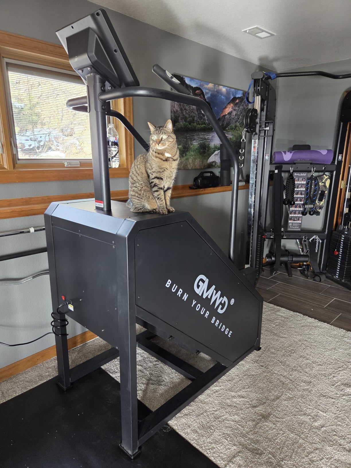 GMWD Stair Stepper Machine, Commercial Grade Stair Climber with LED Display, Stair Machine for Cardio, 15 Resistance Levels, 24-164 Steps/Min, Exercise Machine for Home customer photo 1