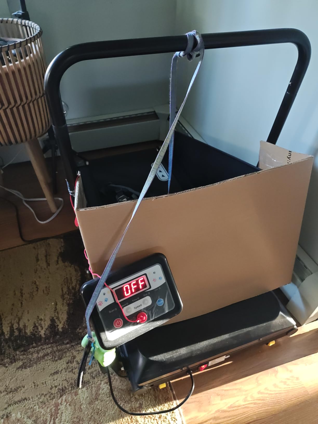 CIIHI Dog Treadmill for Medium Small Dogs - 265lbs Weight Capacity Pet Running Machine with 360° Rotatable Display - 2 in 1 Treadmill for Pet Fitness with Move Wheels and Remote Control customer photo 1