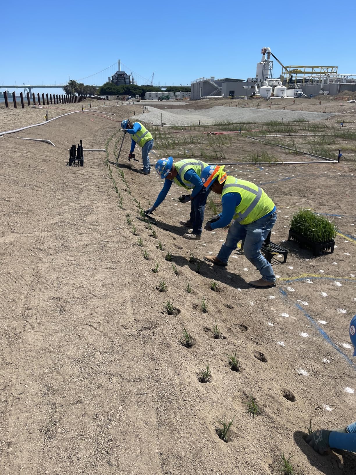 Auger Drill Bit for Planting 3 Pack with Extension - Spiral Hole Planter for Bulbs, Fence Posts, and Umbrella Holes - 3/8'' Hex Drive Drill- Gardening Hole Digger Yard Tools - Garden Drill Attachments customer photo 1