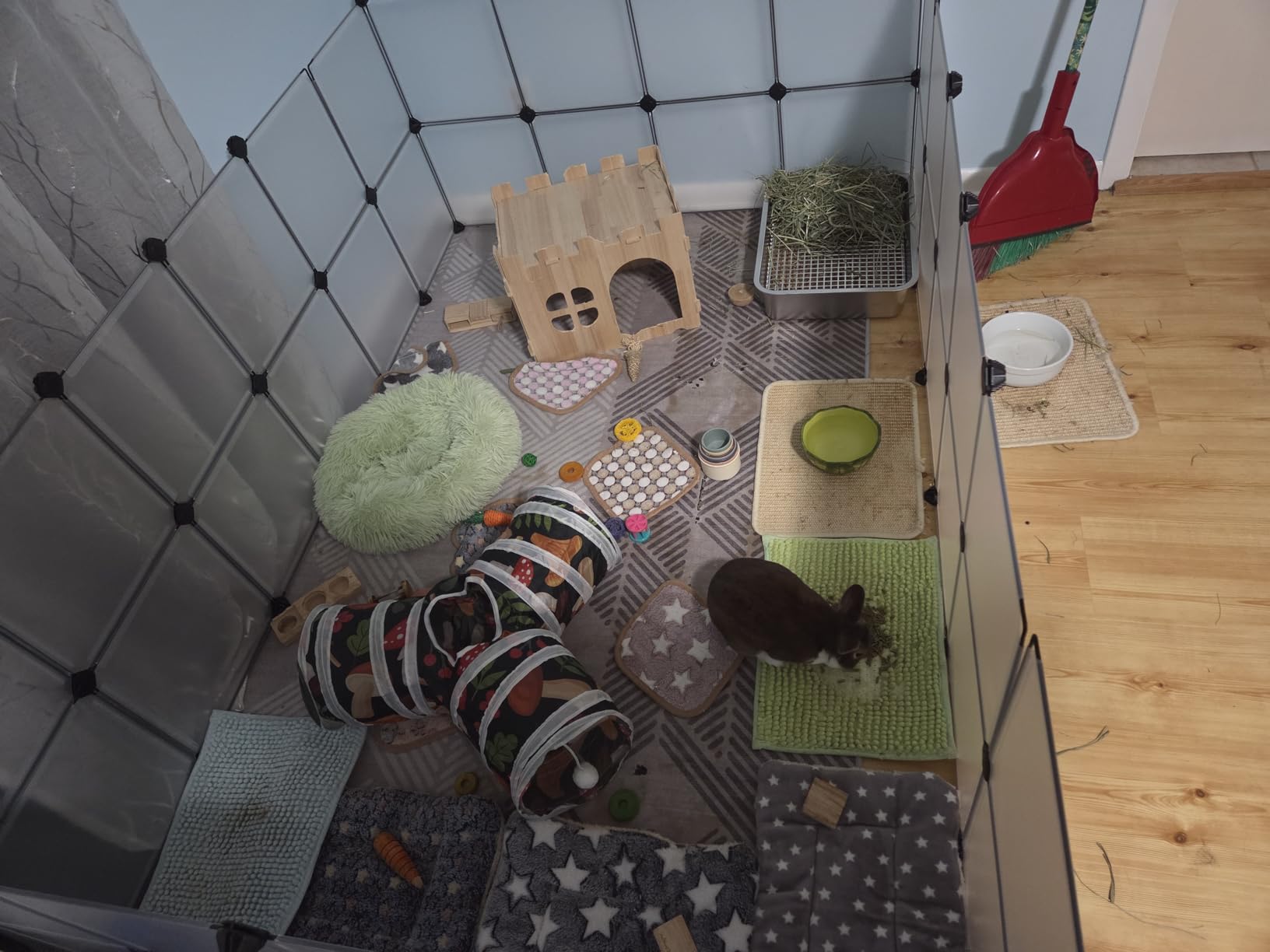 Large Stainless Steel Rabbit Litter Box,Bunny Litter Pan with Widened Grid,Toilet Tray,High Back Wall,Deep Waste Storage (Large) customer photo 1