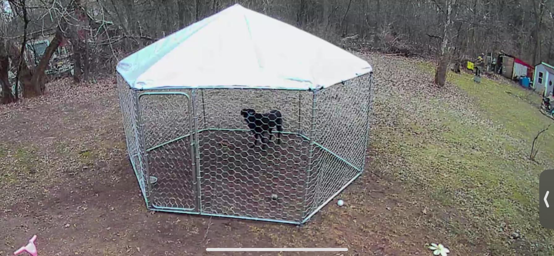 WYZE Bulb Cam Security Camera, 2K HD Outdoor Light Bulb Camera, Color Night Vision, Dimmable LED Bulb, Motion Detection, Siren Alarm, Works w/Alexa/Google Assistant. Free Expert Support customer photo 2