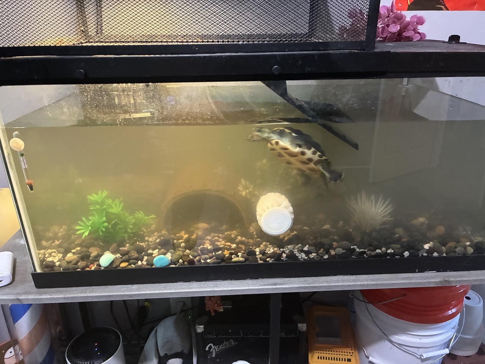 290GPH Turtle Tank Filter for 20-85 Gallon, Turtle Filter Low Water Level Available and Flow Adjustable, Turtle Water Filter for Shrimps Amphibians Turtle Tank Saltwater Freshwater Crystal Clear customer photo 1