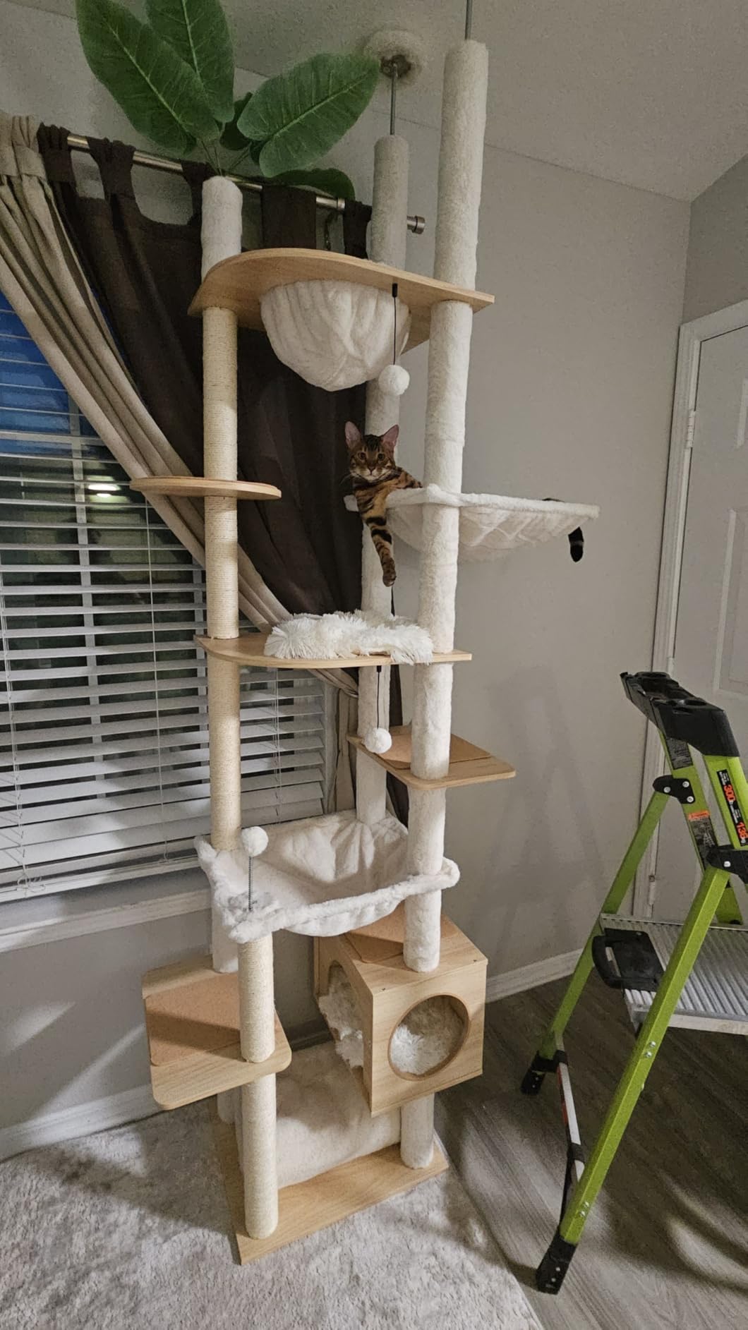 PEQULTI Floor to Ceiling Cat Tree 93.3''-100.8'' Height Adjustable Wooden Cat Tower Tall Climbing Play House with Scratching Posts, Cozy Condo, Perches and Large Hammock for Indoor Cats Beige customer photo 2