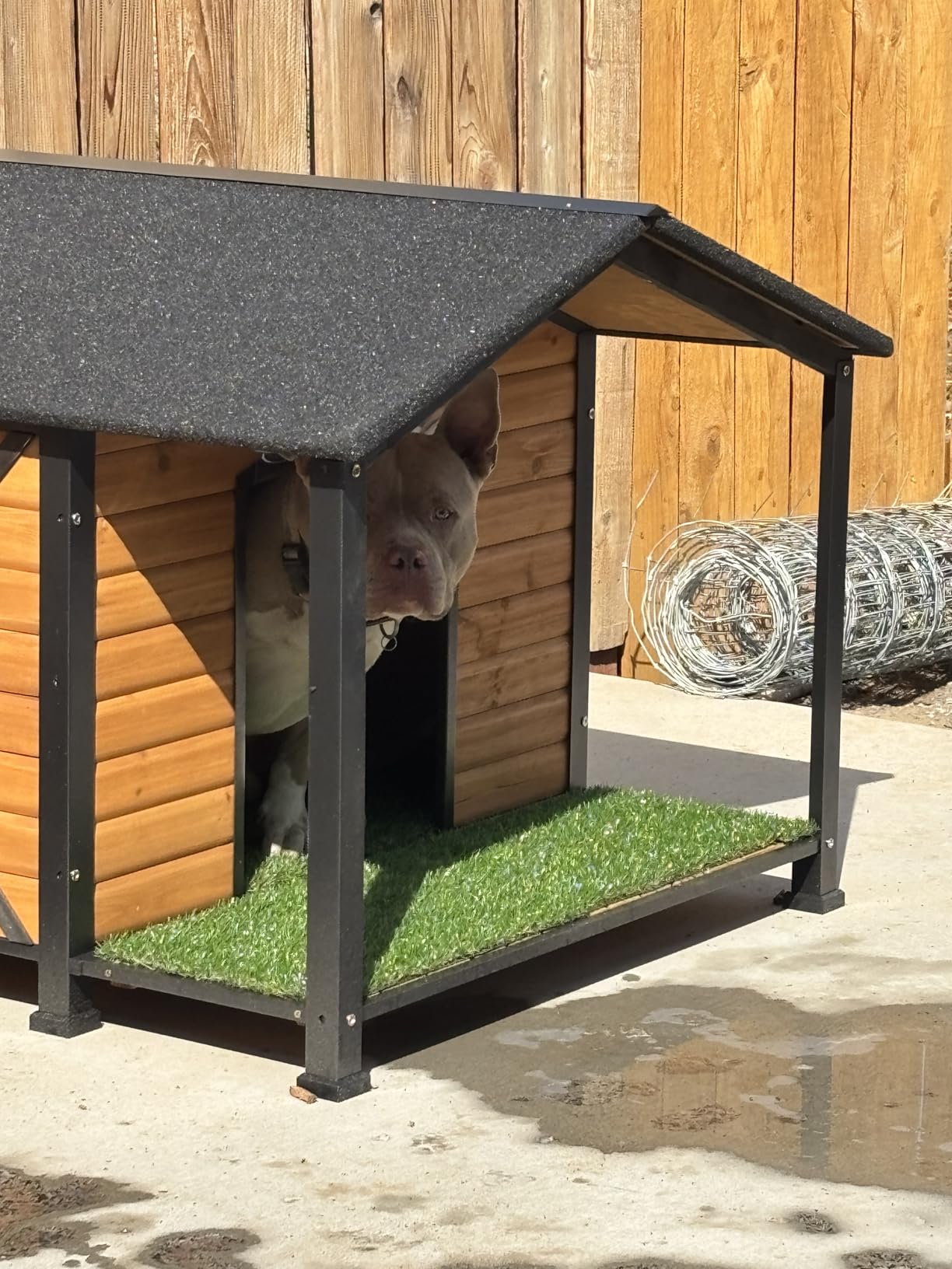 Gutinneen Dog House Outdoor Heated Dog Kennel with Insulation Liner for Winter Waterproof Dog Cage for Small & Medium & Large Dogs, Unique All-Around Iron Frame customer photo 1