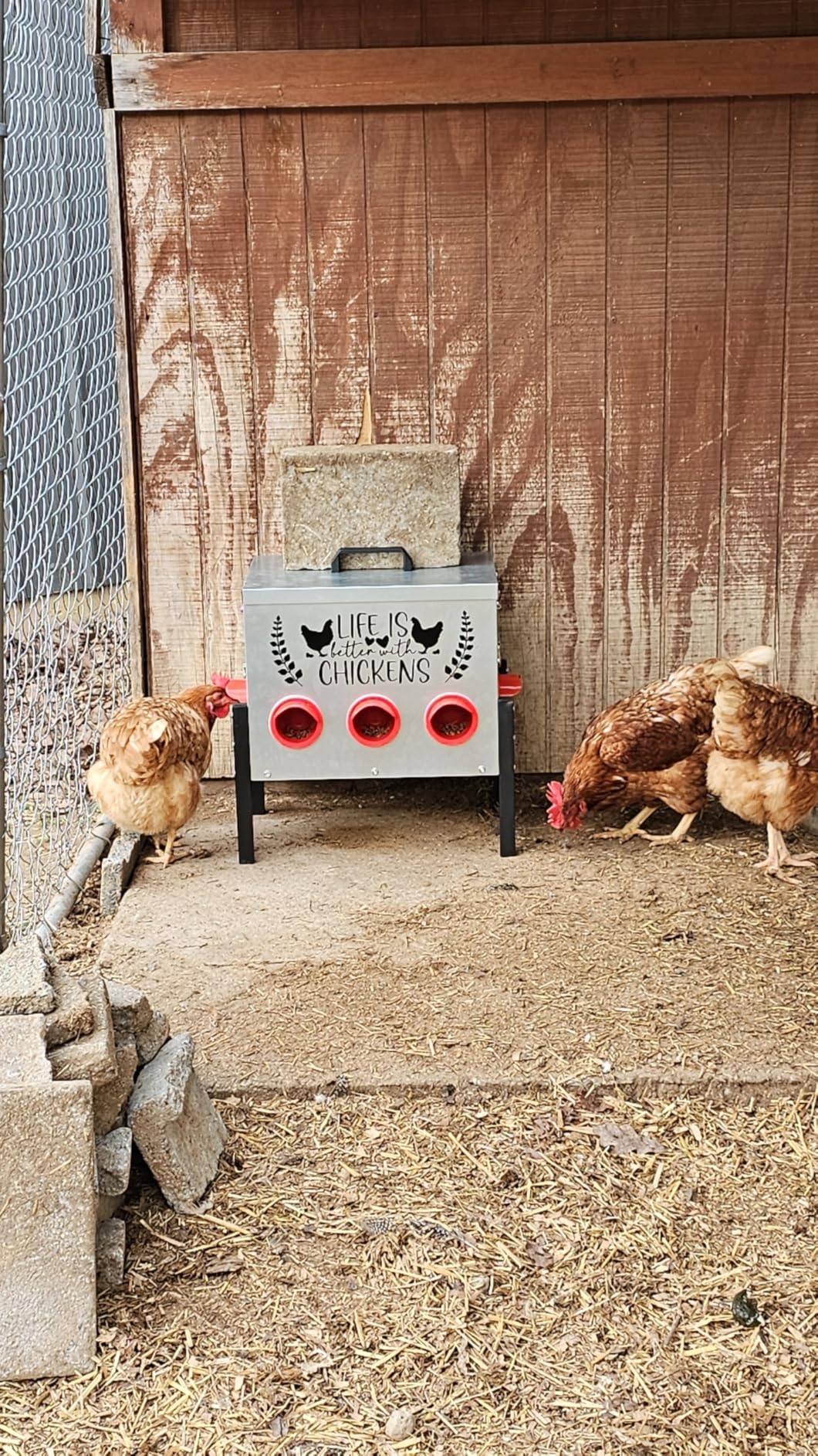 TGEYD 50LB Large Automatic Chicken Feeder - 8 Feeding Ports, No-Waste Poultry Feeder, with Adjustable Legs & Locking Lid customer photo 1