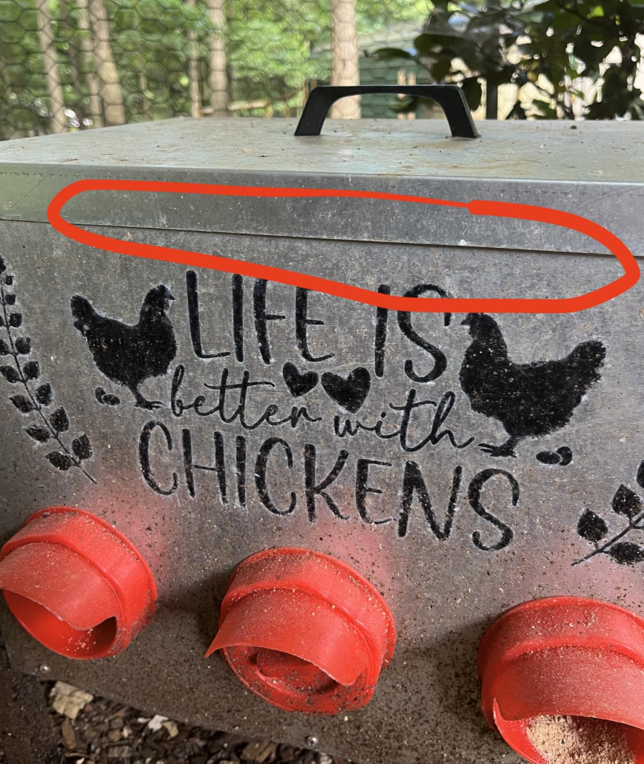 TGEYD 50LB Large Automatic Chicken Feeder - 8 Feeding Ports, No-Waste Poultry Feeder, with Adjustable Legs & Locking Lid customer photo 2