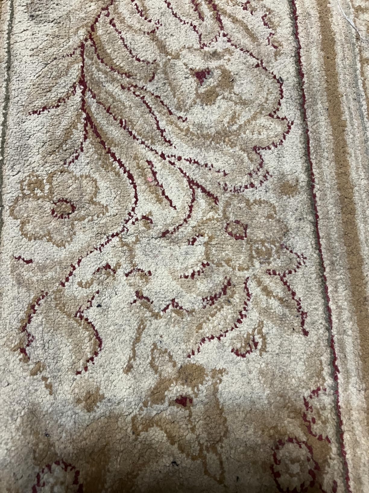 Little Green Mini Cordless Portable Carpet and Upholstery Deep Cleaner, Car/Auto Detailer, with HydroRinse Self-Cleaning Tool and 4