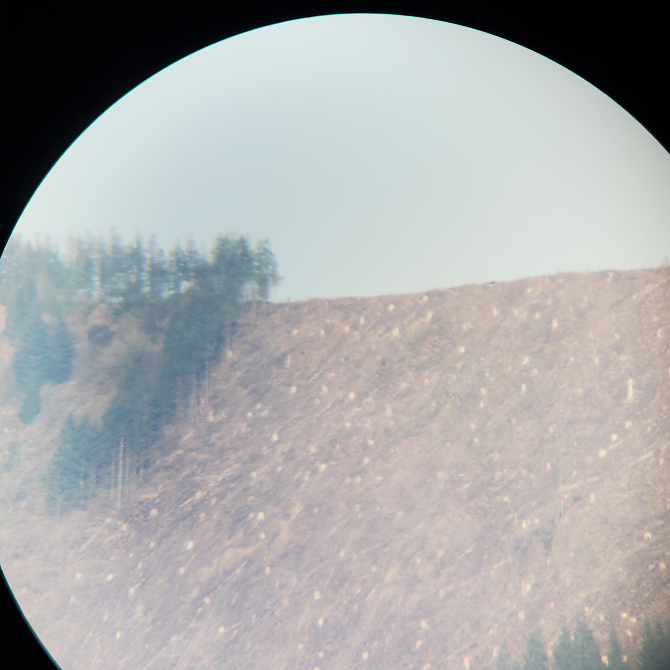 Leupold SX-2 Alpine HD Spotting Scope, Angled customer photo 1