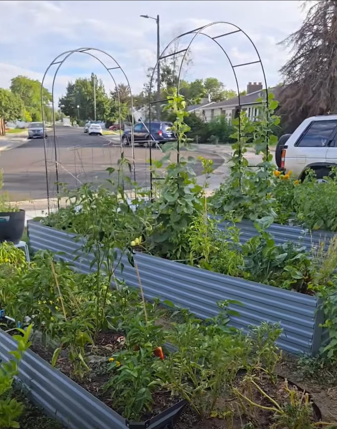 8x4x1ft(2 Pack) Galvanized Raised Garden Bed, Outdoor Planter Box Metal Patio Kit Planting Bed for Vegetables Flowers Herb, Black customer photo 2