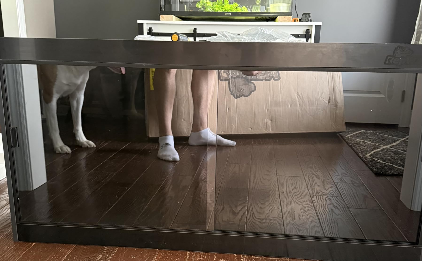 65 Gallon PVC Reptile Enclosure, RepWild 48