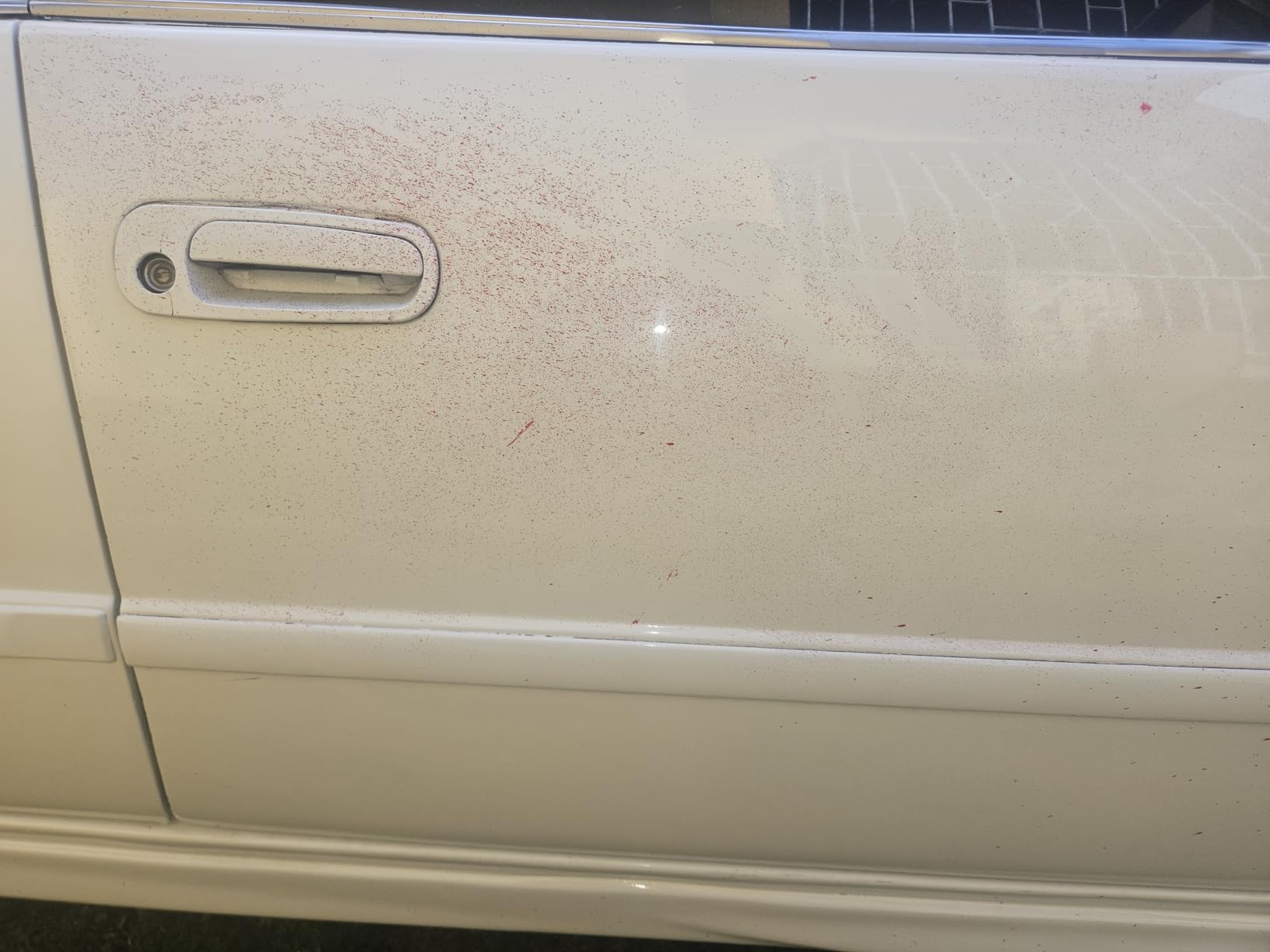 Clay Bars Kit, 6 Clay Bars & 20 PCS Lubricant Tablets, Complete Car Detailing Kit, Spray Bottle, Gloves and Towels customer photo 1