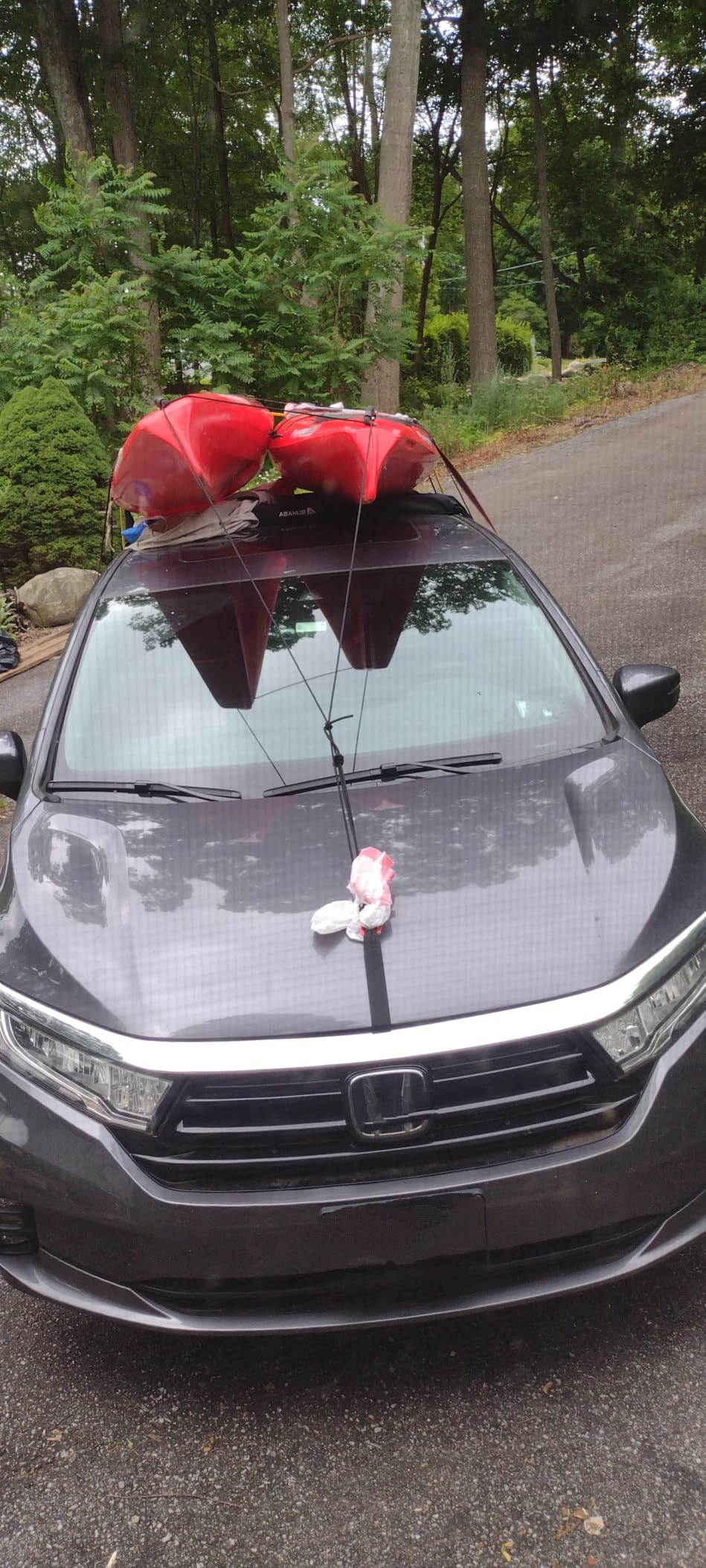 Abahub Soft Roof Rack Pads with 2 Tie Down Straps, 2 Tie Down Ropes, 2 Hood Loops and Storage Bag, for Surfboard, Kayak, Canoe, Heavy Duty Universal Car Roof Racks System customer photo 1