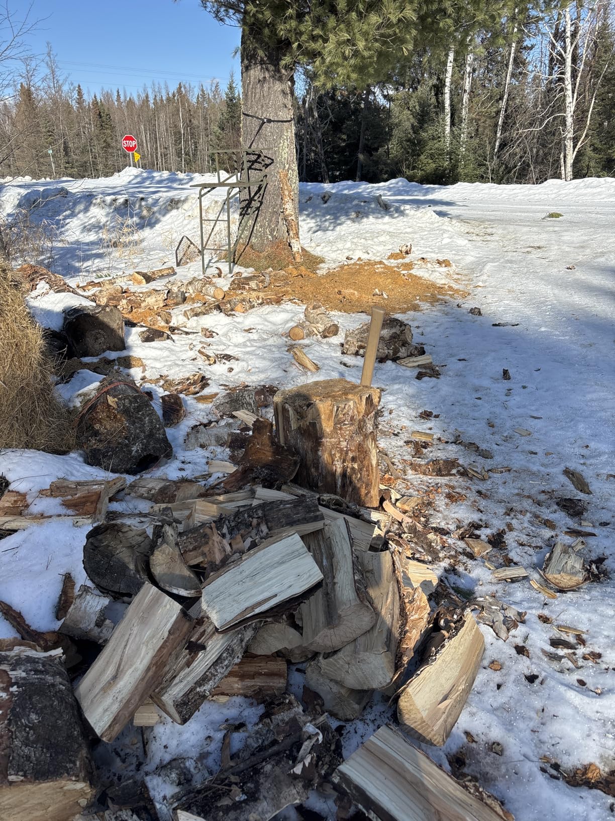 EGO Power+ Chain Saw, 12