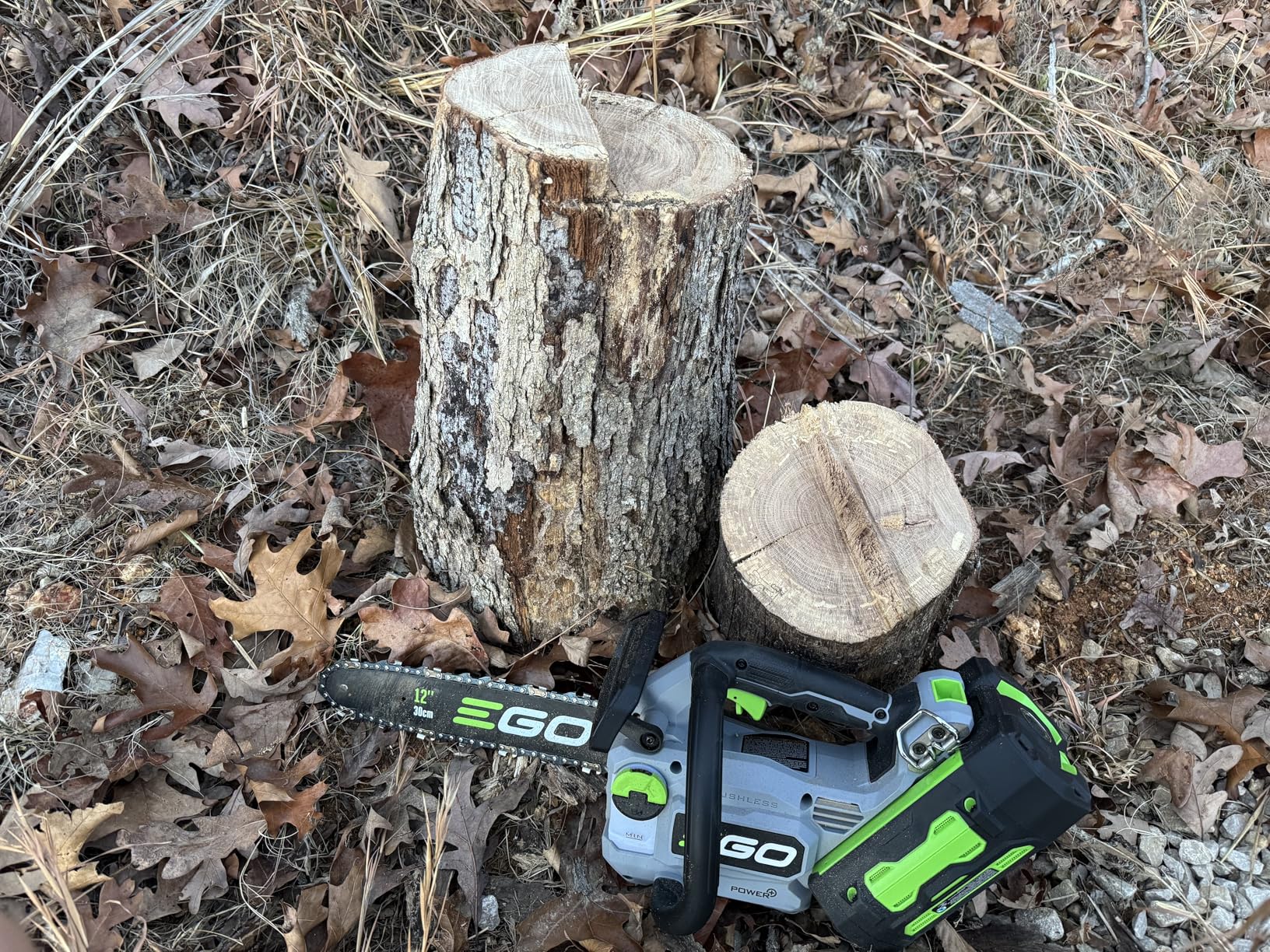 EGO Power+ Chain Saw, 12