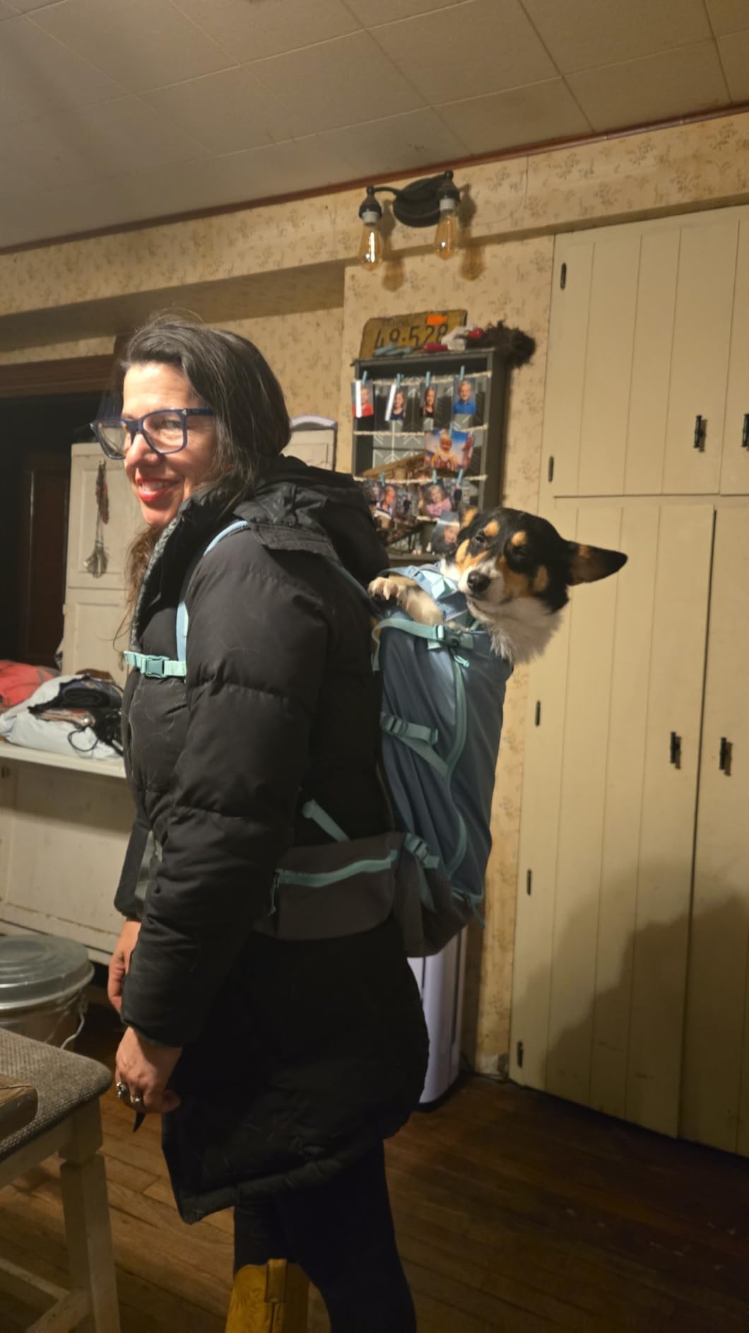 Ruffwear Hitch Hiker Dog Backpack Carrier, Hands-Free Dog Carrier Backpack with Breathable Mesh, EVA Foam Padding, Durable Polyester, Lightweight Design for Small Dogs, Basalt Gray, X-Small customer photo 1