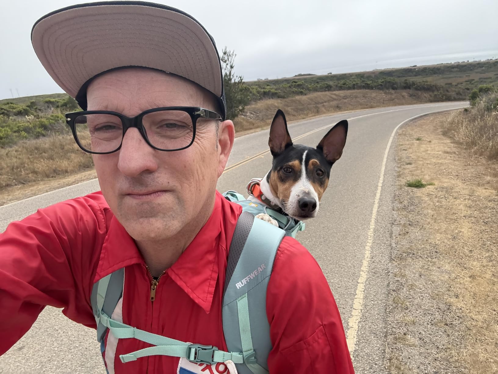 Ruffwear Hitch Hiker Dog Backpack Carrier, Hands-Free Dog Carrier Backpack with Breathable Mesh, EVA Foam Padding, Durable Polyester, Lightweight Design for Small Dogs, Basalt Gray, X-Small customer photo 2