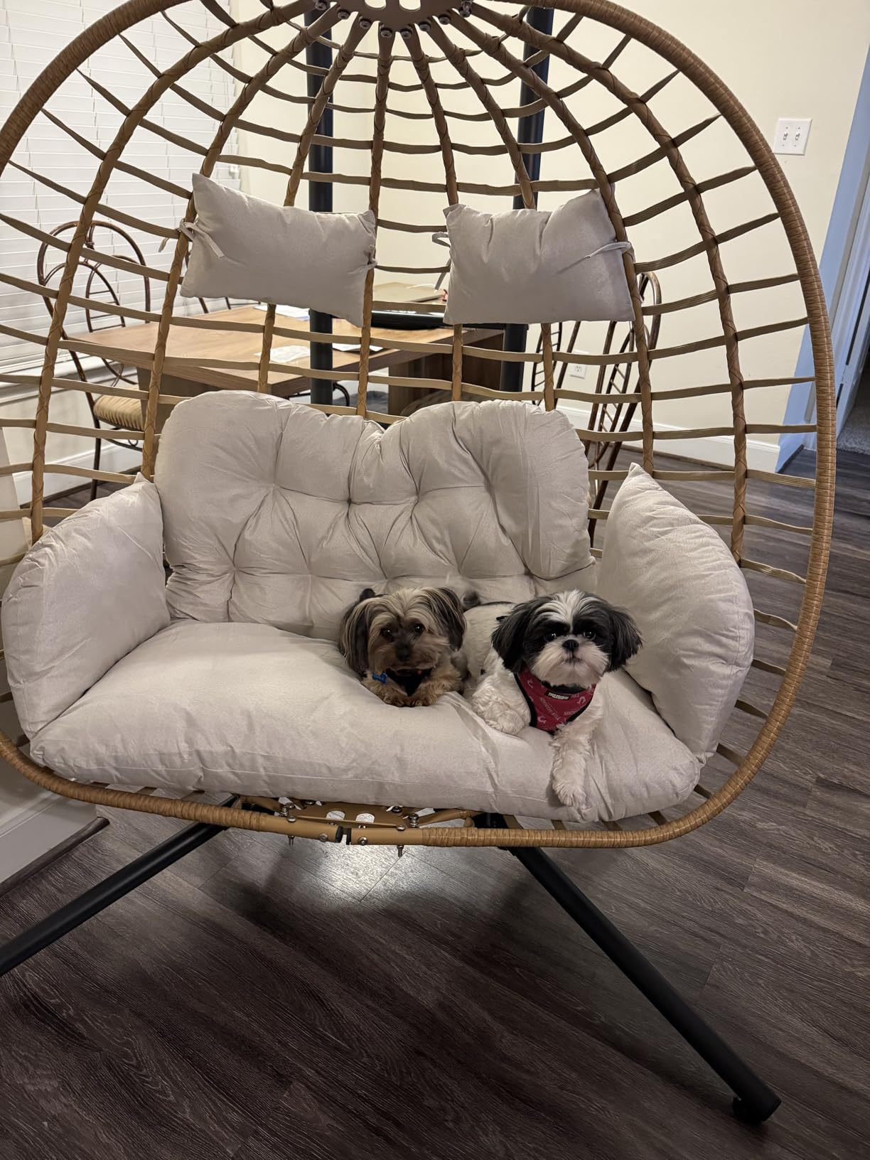 SWITTE Double Egg Swing Chair with Stand, Outdoor Patio 2 Person Hanging Wicker Hammock Chairs with Cushion for Indoor Bedroom, Lawn, Garden-Dark Grey customer photo 1