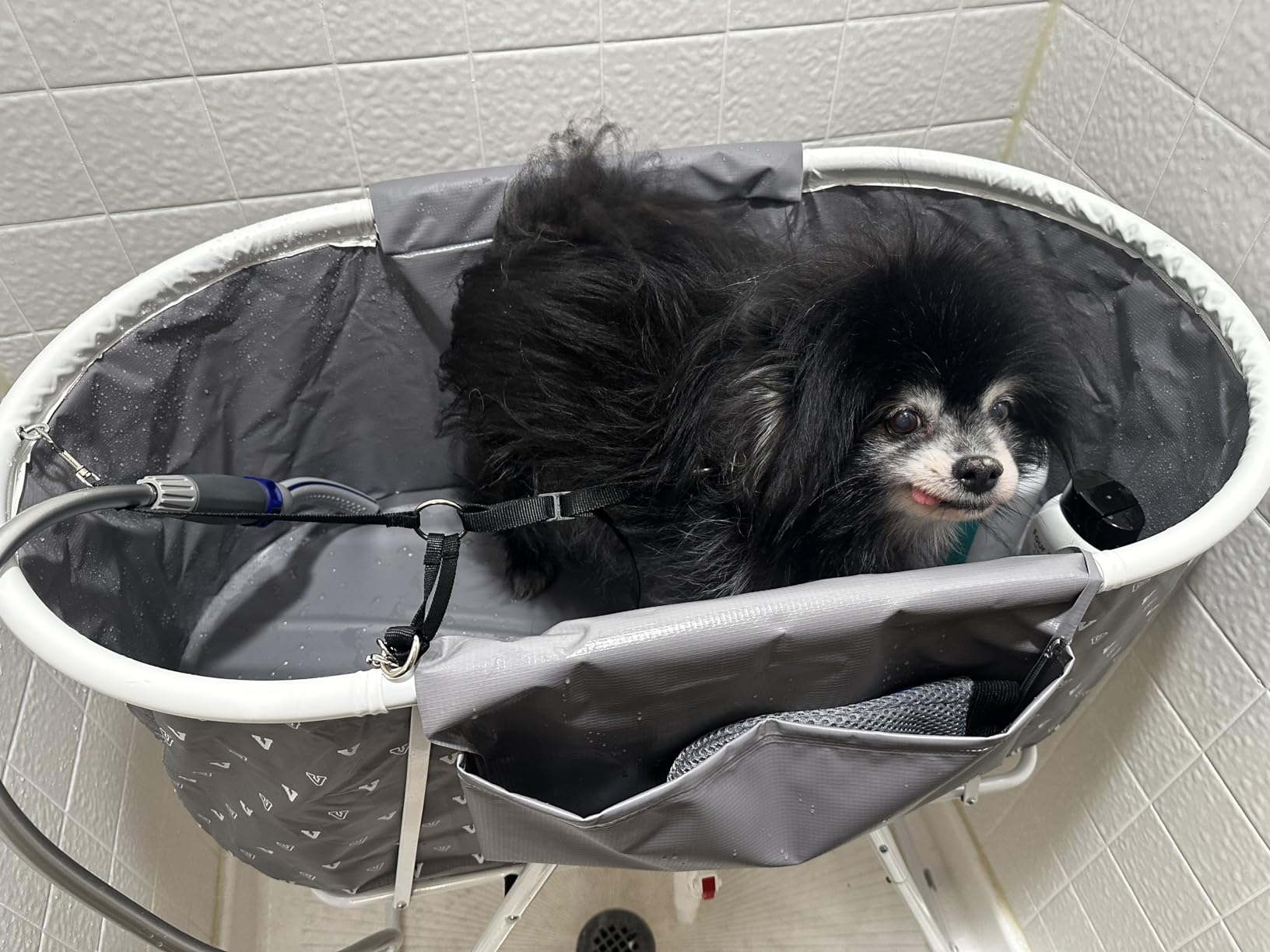 VEVOR Portable Dog Bathtub, Elevated & Foldable Space-saving Pet Shower Station with Quick Drainage, Bathing Tub for Washing & Grooming Small and Medium Size Dogs and Cats Indoor & Outdoor, Light Blue customer photo 2